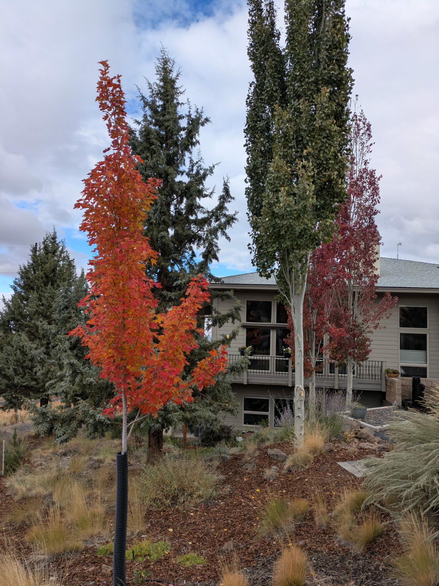 Ridge At Eagle Crest - Residential