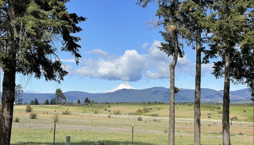 This outstanding farming, hunting and recreation property is just Southeast of Mt. Hood and West of the Deschutes River and right in the middle of one of the most beautiful areas in Oregon, Tygh Valley.  With views of three of the largest mountains in the Cascade Range including Mount Hood, Mount Jefferson and Mount Adams, Iron Horse Ranch offers a recreational opportunity in every way. Iron Horse Ranch has over 475 acres and 253 of which are irrigated from Badger Creek, Pine Hollow and Round Prairie.
The area consists of open range, cropland and oak prairie habitat.  There is a 2-acre pond that feeds the irrigation and provides waterfowl hunting, fishing for trout and bass, and draws in wildlife.  The size of the property allows two Land Owner Preference (LOP) tags for Elk and Deer and is located in the White River Basin, a tributary of the Deschutes River.