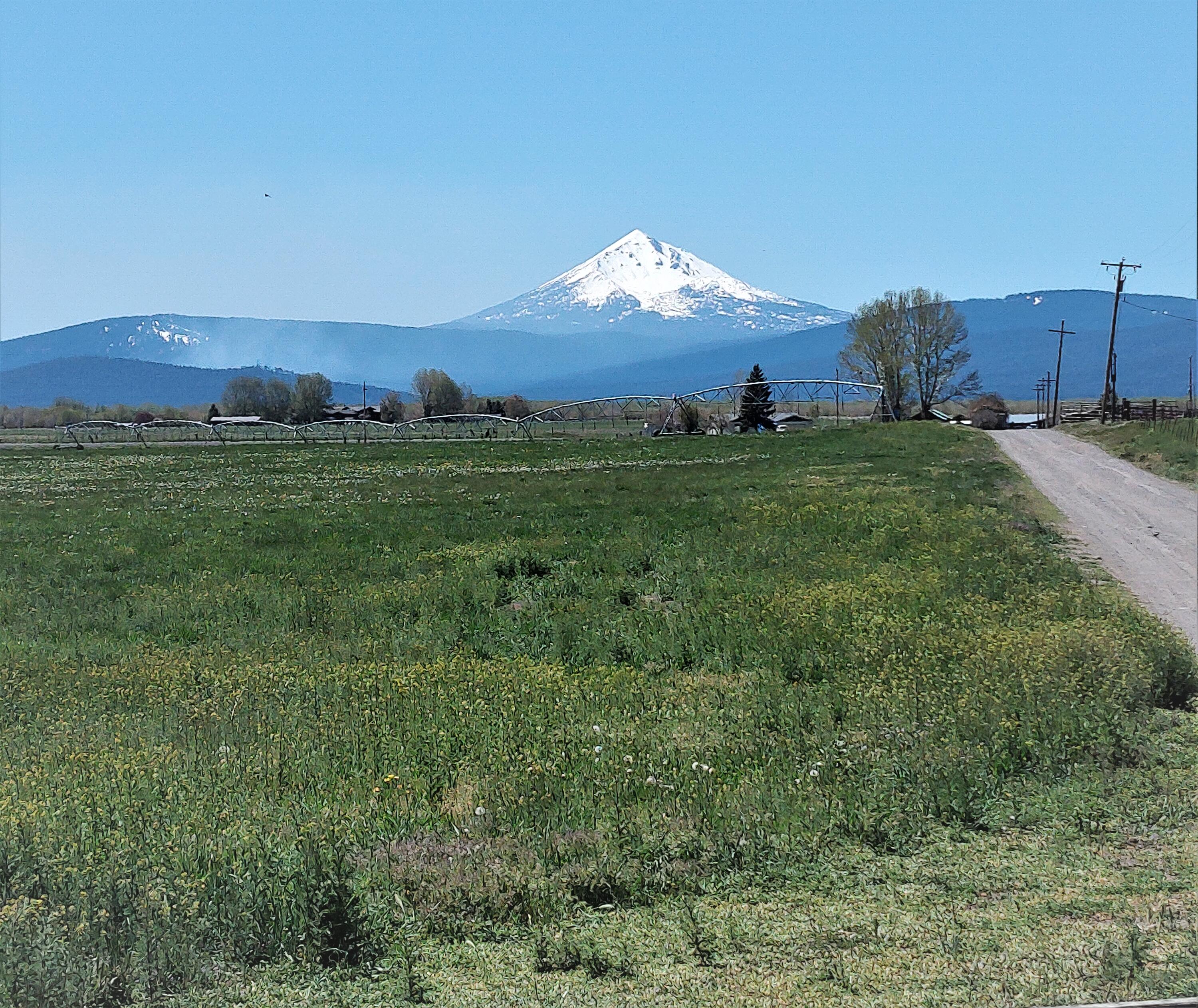 Hay and Pasture Ranch! 768 acres, yielding soils for alfalfa, grain and pasture.   1864 water rights in the process of an adjudication claim. 5 Pivots and Pumps, and flood irrigation. Unique lake buffered area extends growing season.  Historically, pre-drought years, summered 1200 yearlings, plus, fall feed.  Fenced and Cross fenced. 2 Bedroom and 2 Bathroom manufactured home. Portable corrals, loading chute, hydraulic chute, and covered Powell electronic scales. Deep sand arena and 4 portable stalls. Paved access and beautiful Cascade MT & lake views.
Owner is licensed real estate broker.