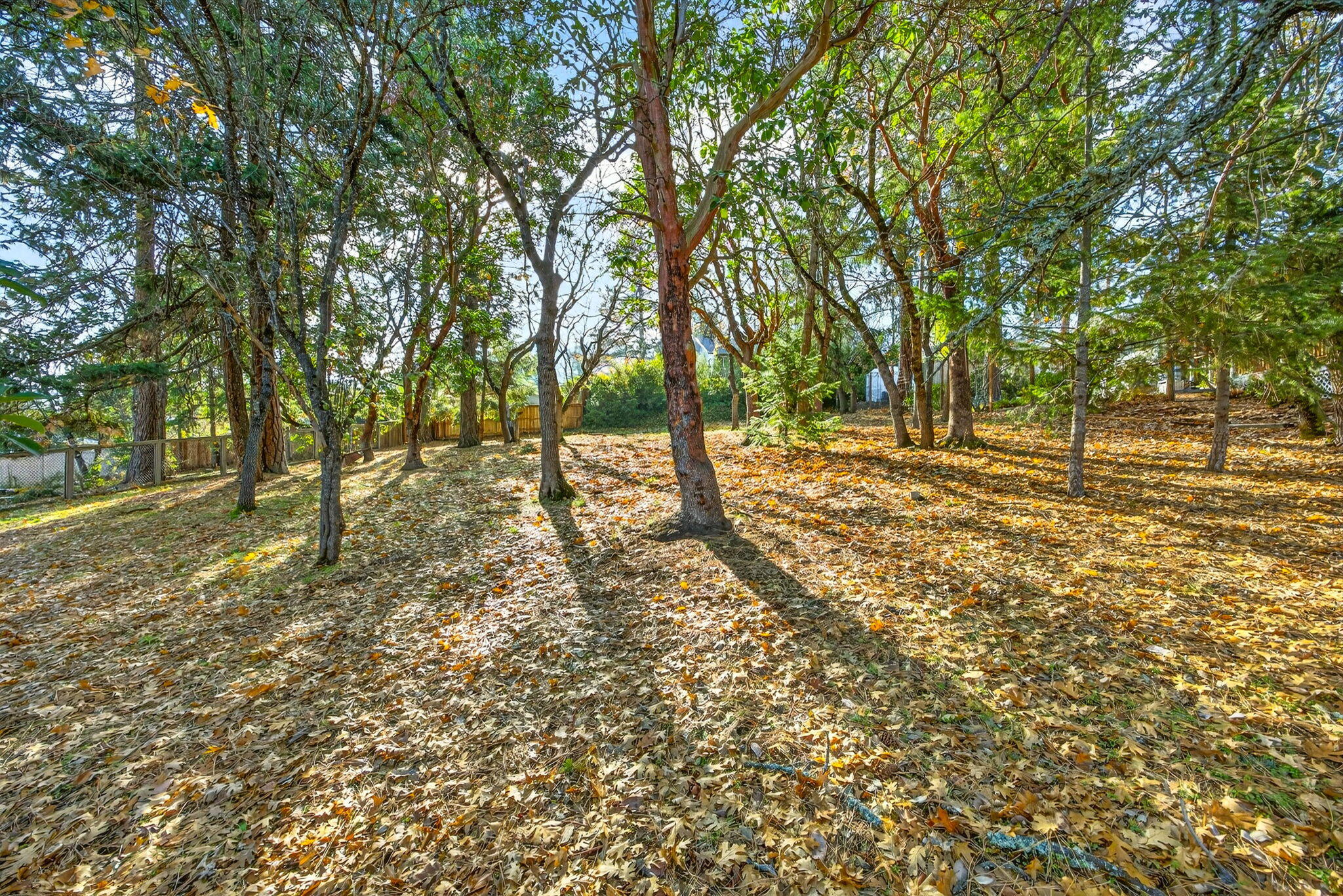 Nestled above Southern Oregon University, this .31-acre residential lot offers a rare blend of serenity and convenience. Set within a small planned community, the property features fairly level terrain—an ideal canvas for building your custom home. Enjoy peaceful surroundings, mountain views, and easy access to trails, downtown Ashland, and campus amenities. Suncrest Homes, builder of many fine homes in Ashland, has created a tentative layout and design for a single level home - customize with your ideas or bring your own builder. This is a unique opportunity to create a beautiful retreat in one of Ashland's most desirable neighborhoods!