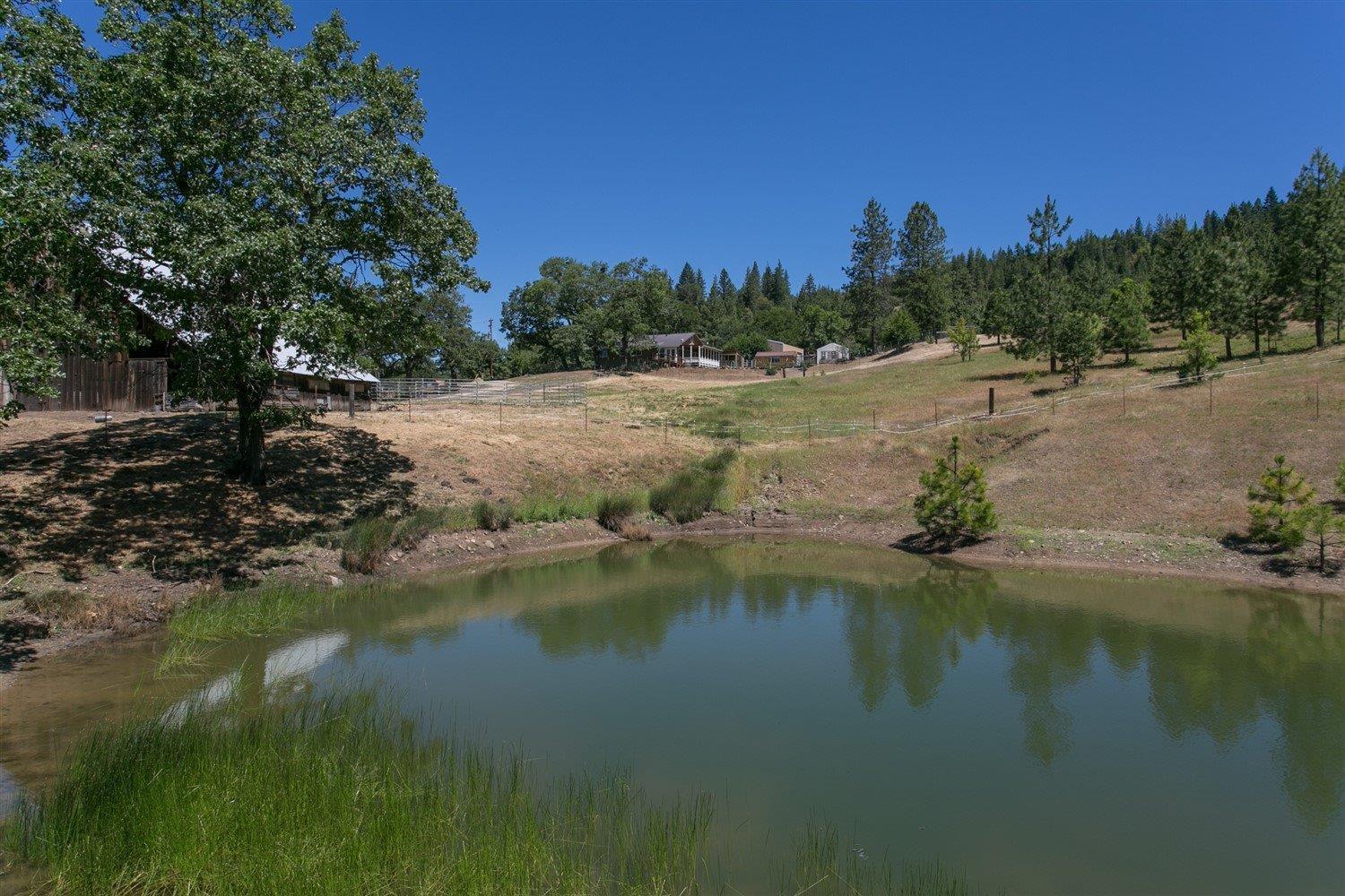 This 3 bedroom, 2 bath home rests on 39.81 acres. The home has been extensively remodeled and shows like new. Great island kitchen, dining area, vaulted living room with fantastic views. Other features of this special property include a large pole barn, 5-bay carport, huge shop,greenhouse, wood shed, storage shed and a separate cabin/studio. There are 2 seasonal ponds, a seasonal creek and a spring with a large storage tank. The property is fenced and cross fenced. There is a nice mix of pastures, meadows and woodlands. A new on-site septic system was installed in 2011. There is a developed garden area, blueberries and fruit trees. Relax in the hot tub and drink in the peaceful views. This property is meticulously maintained. Discover this special property today!