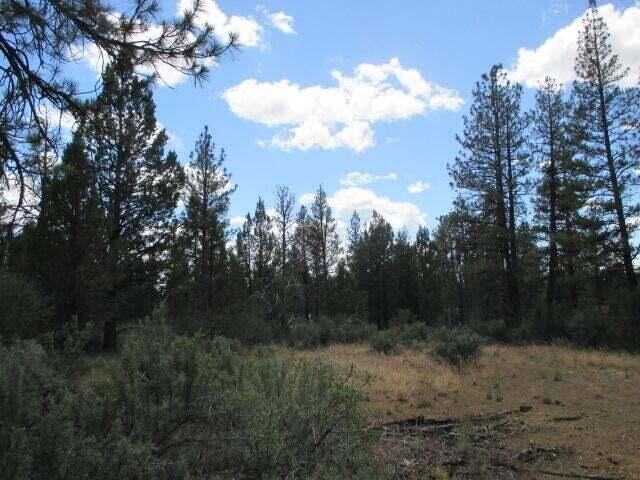 2.43 acre wooded parcel located near the town of Sprague River!  This Parcel is zoned residential and power is at the street!  Come and set up a manufactured home, or build a cabin, tiny home or whatever your dream maybe.