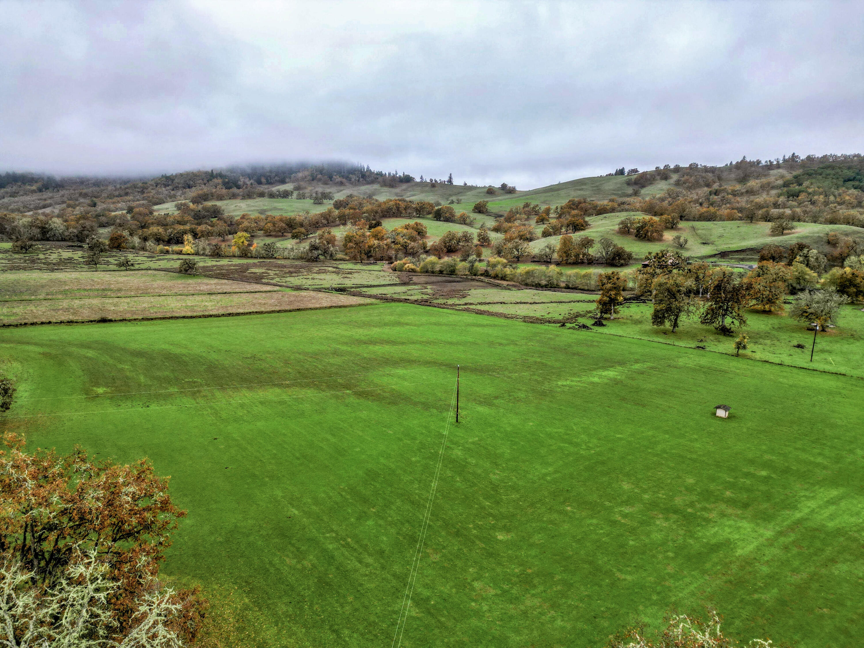 N/A - Farm