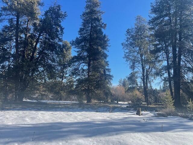 Beautiful Recreational property backing to Public Land that Borders the Little Deschutes River. Great get-a-way vacation spot. With a CUP allows 6 months at a time living on the property per lot. Parcel Next door is also for sale. Buy them both and have almost a full acre with two tax lots. both Parcels can be sold together at a discounted price of $35,000. The owner will also entertain Owner Financing. Corners are marked