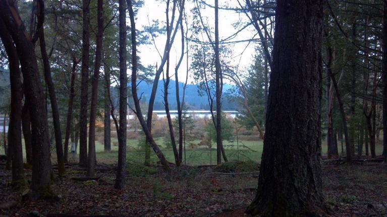 Overlooking Lake Selmak. A beautiful, safe place to raise a family or pass the years..! More than 21 acres of peace and tranquility. Open fields, mature timber, seasonal creek, ponds, apple orchard, etc. Lower field yielded 350 bales of hay during its life as a cattle ranch. Has been a horse ranch as well. A great area for grapes too. Older home has wood, oil and propane heat. Rustic and warm with the notty pine walls and ceilings, rock hearth and multiple windows. There are 2 wells and 2 septic systems, multiple outbuildings, and a garage that has been converted into a 2 bedroom apt. Plenty of opportunity here to make something really special, your way.. (Seller motivated..)