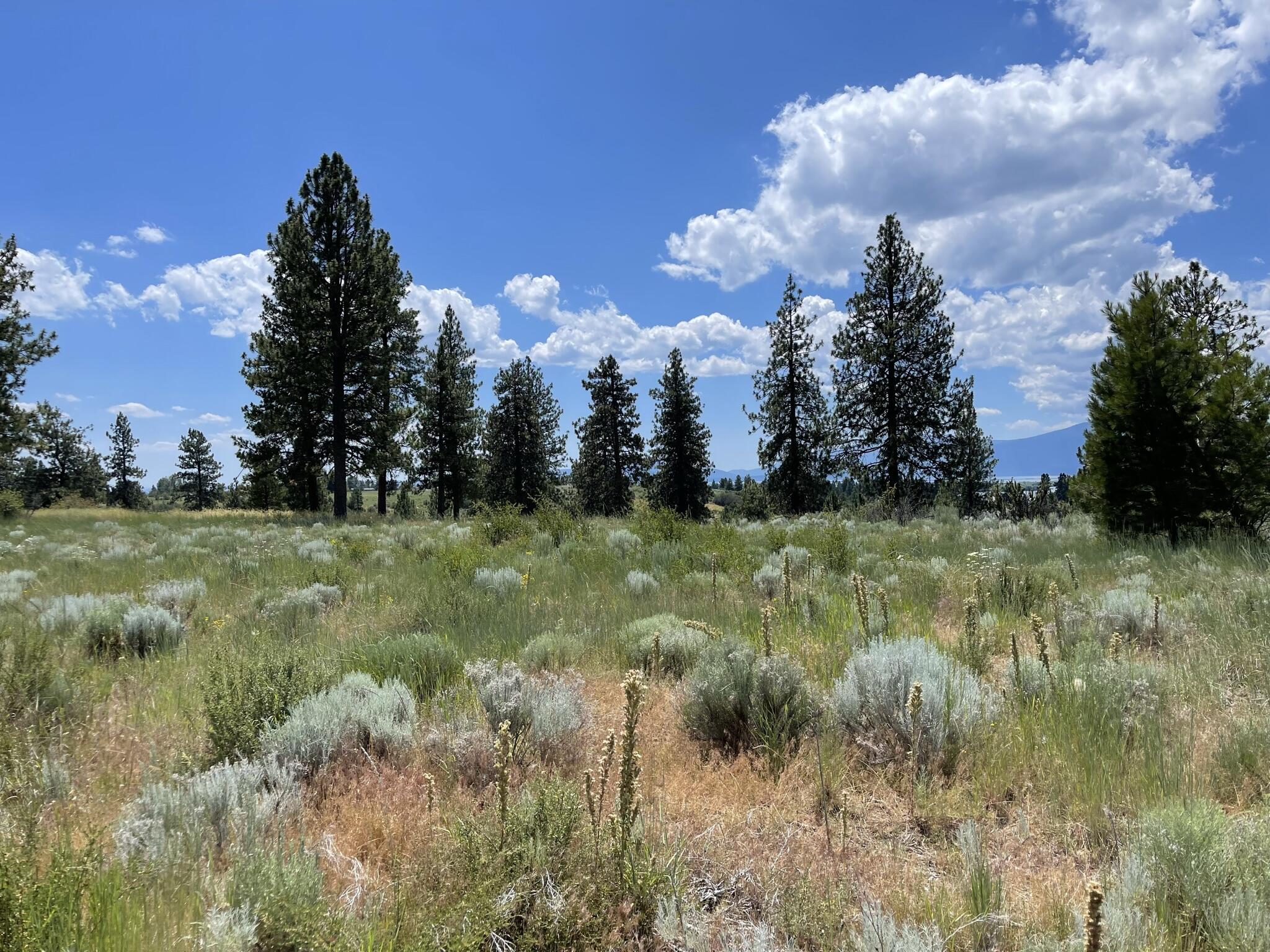 Hilltop views of Agency Lake and snowcapped peaks. This large 1.01-Acre lot is one of the finest parcels for several miles. Unobstructed views of Agency Lake. This is a premium choice lot in an area of custom-built homes. Perfect location for a large two-story home with expansive decking. Power and phone are extremely close. Well and septic is needed.
This is the parcel of choice, the best, the top of the hill overlooking all the rest. It would be challenging to get or find a more premium parcel. You get what you pay for. This one has the location. Do not delay.
Approx. Center Long:
-121.9198
Approx. Center Lat:
42.5465

Do not let a few thousand dollars delay or stand in front of your dream parcel. Do not settle for less than this one.

Drive by, walk it, visit it in the morning and watch the sunrise. Then do the same for the sunset. You'll be amazed.