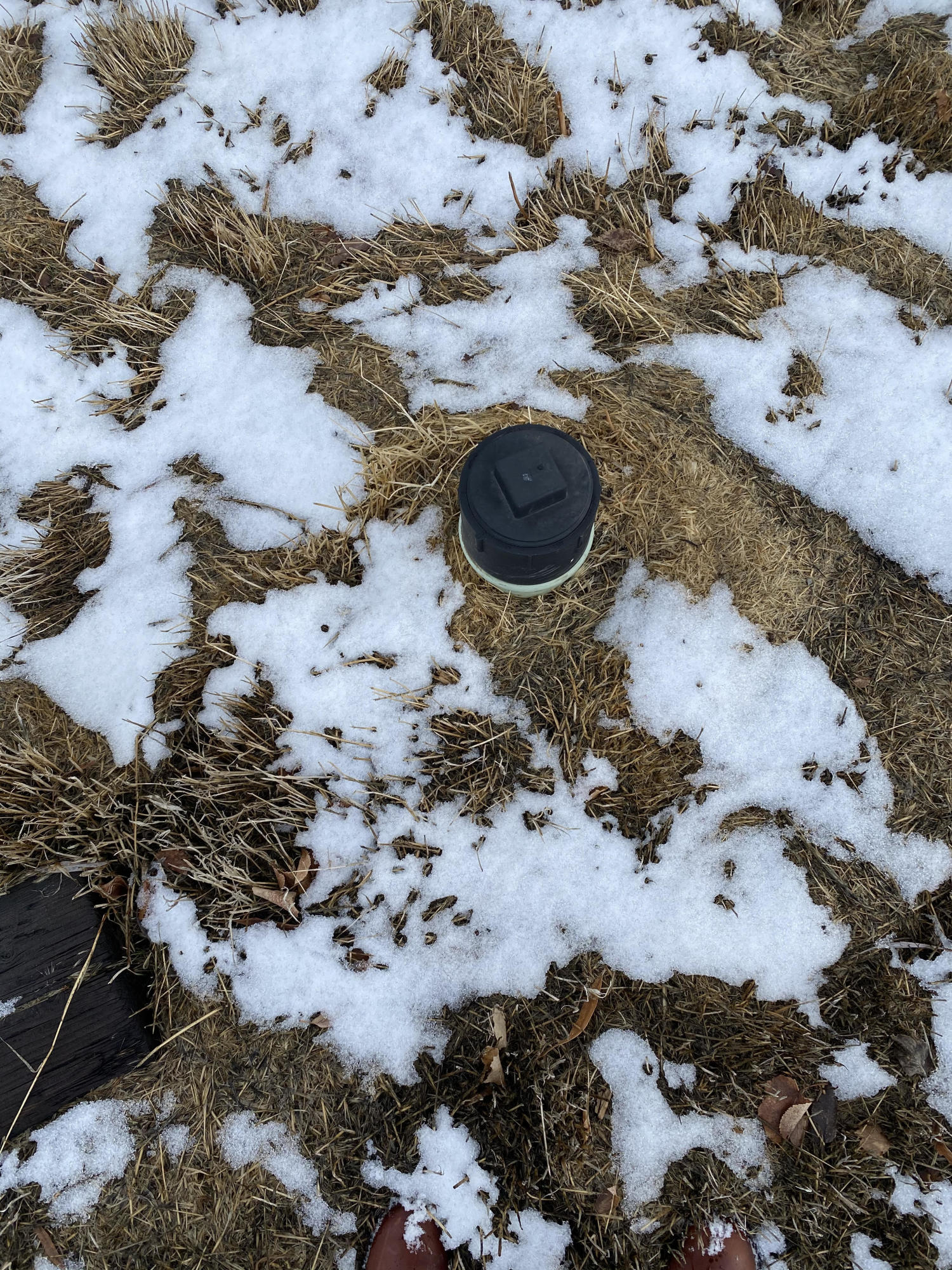 Elmwood Park - Land