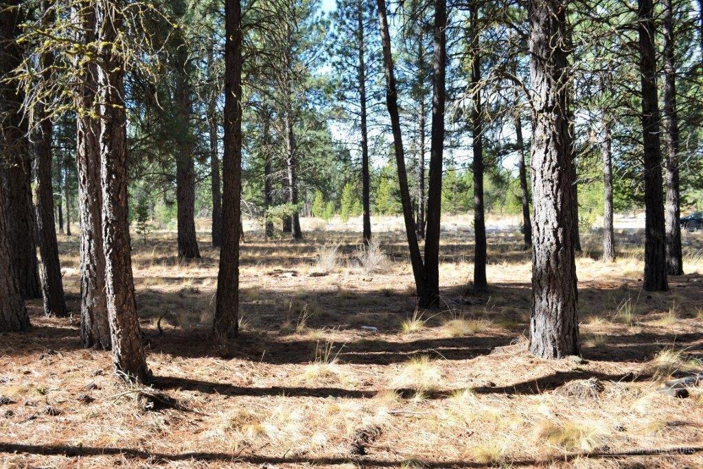 Caldera Springs - Land
