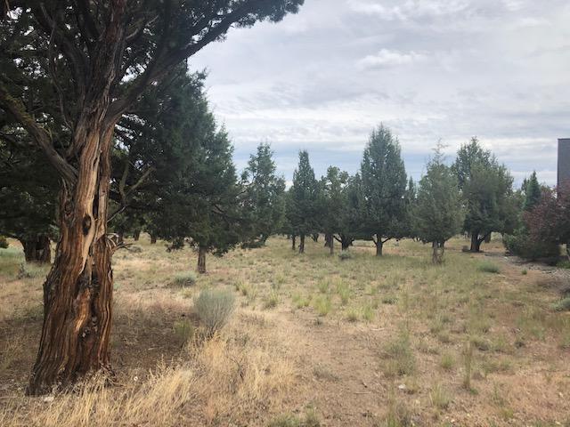Desirable level build able lot backing to BLM. You can bring your own builder.  Very close to sport centers, hiking, swim park, Pickleball.  Enjoy Eagle Crest Amenities. Eagle Crest has three golf courses, plus putting course,  three sport centers, hiking along the river & fishing!