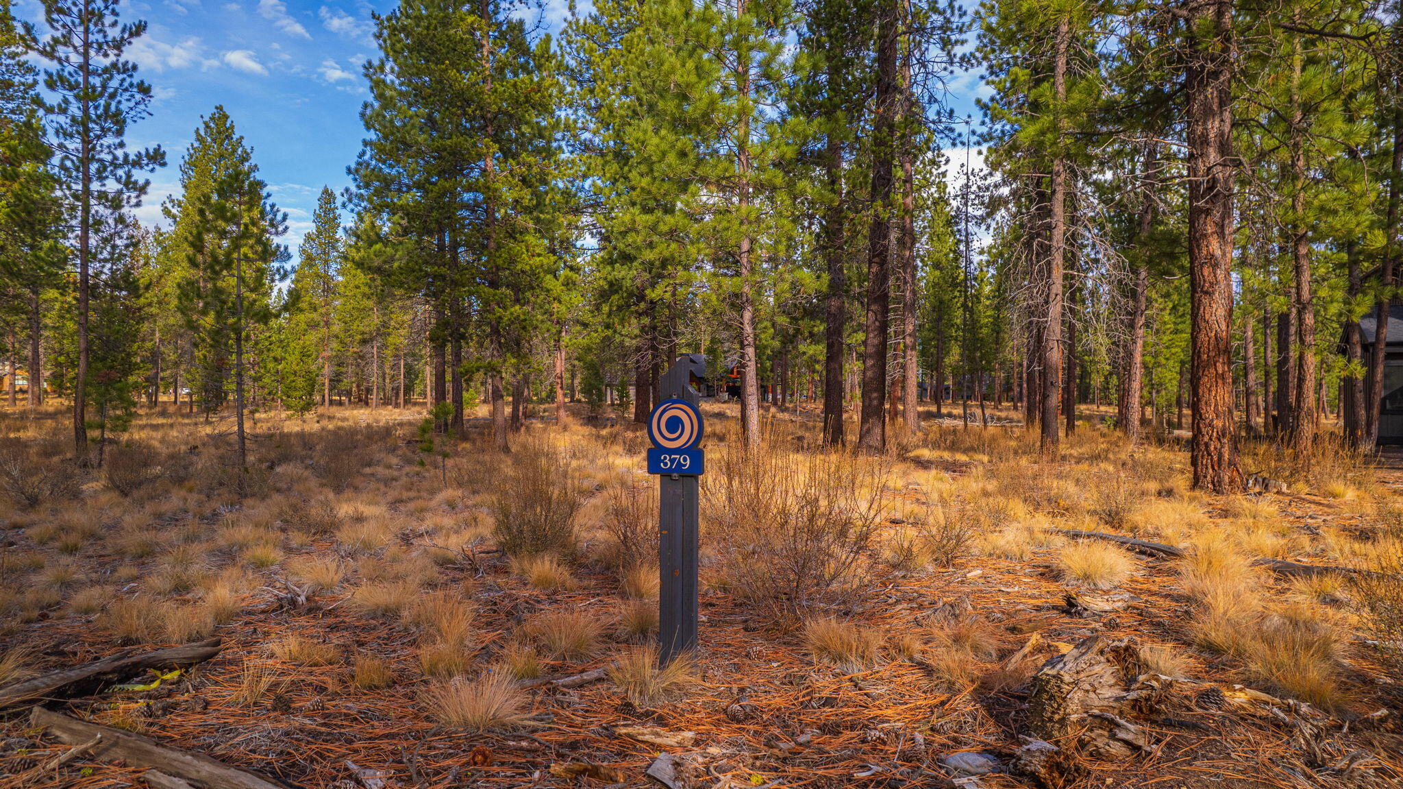 Caldera Springs - Land