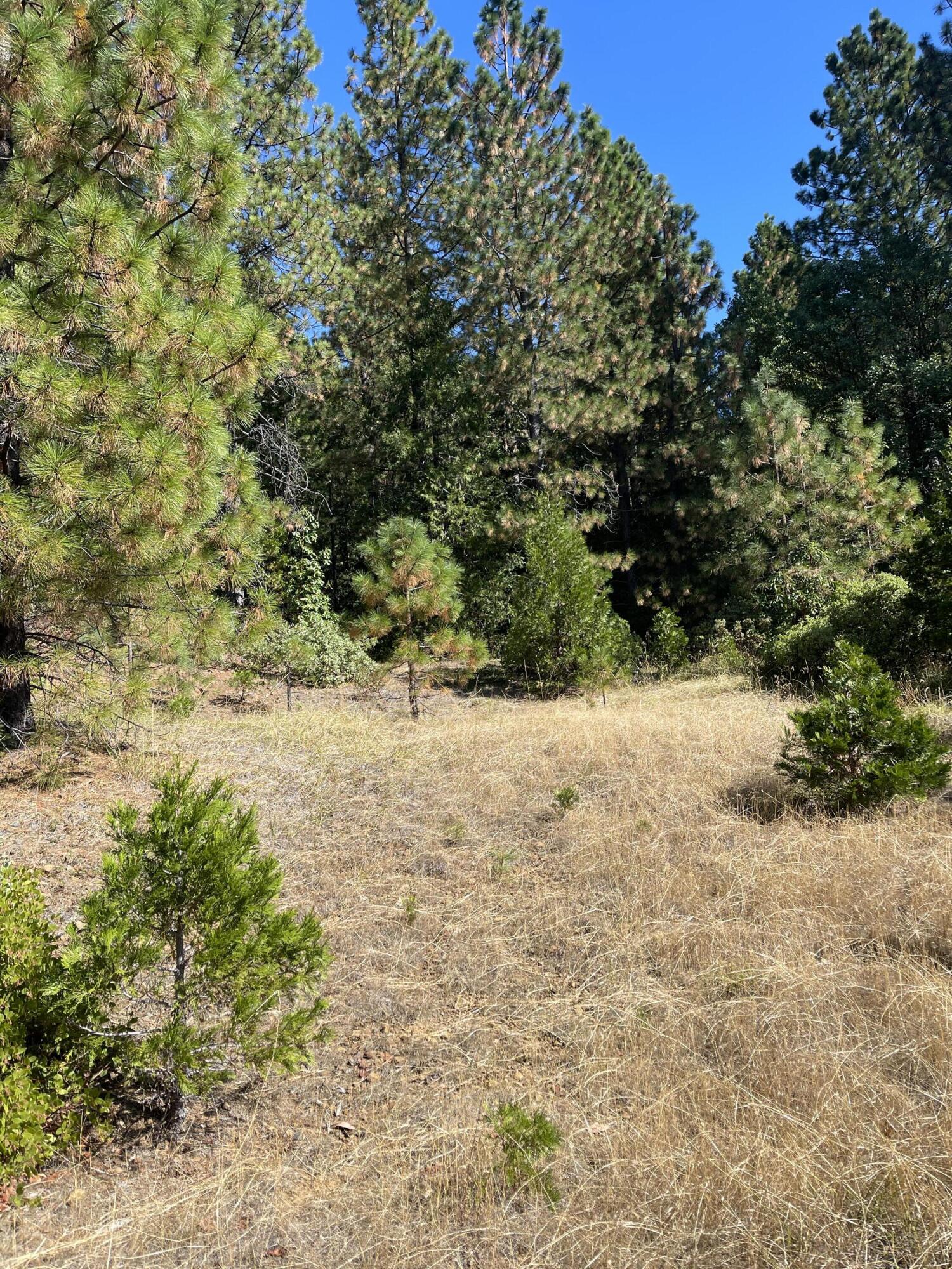 Fall Subdivision - Land