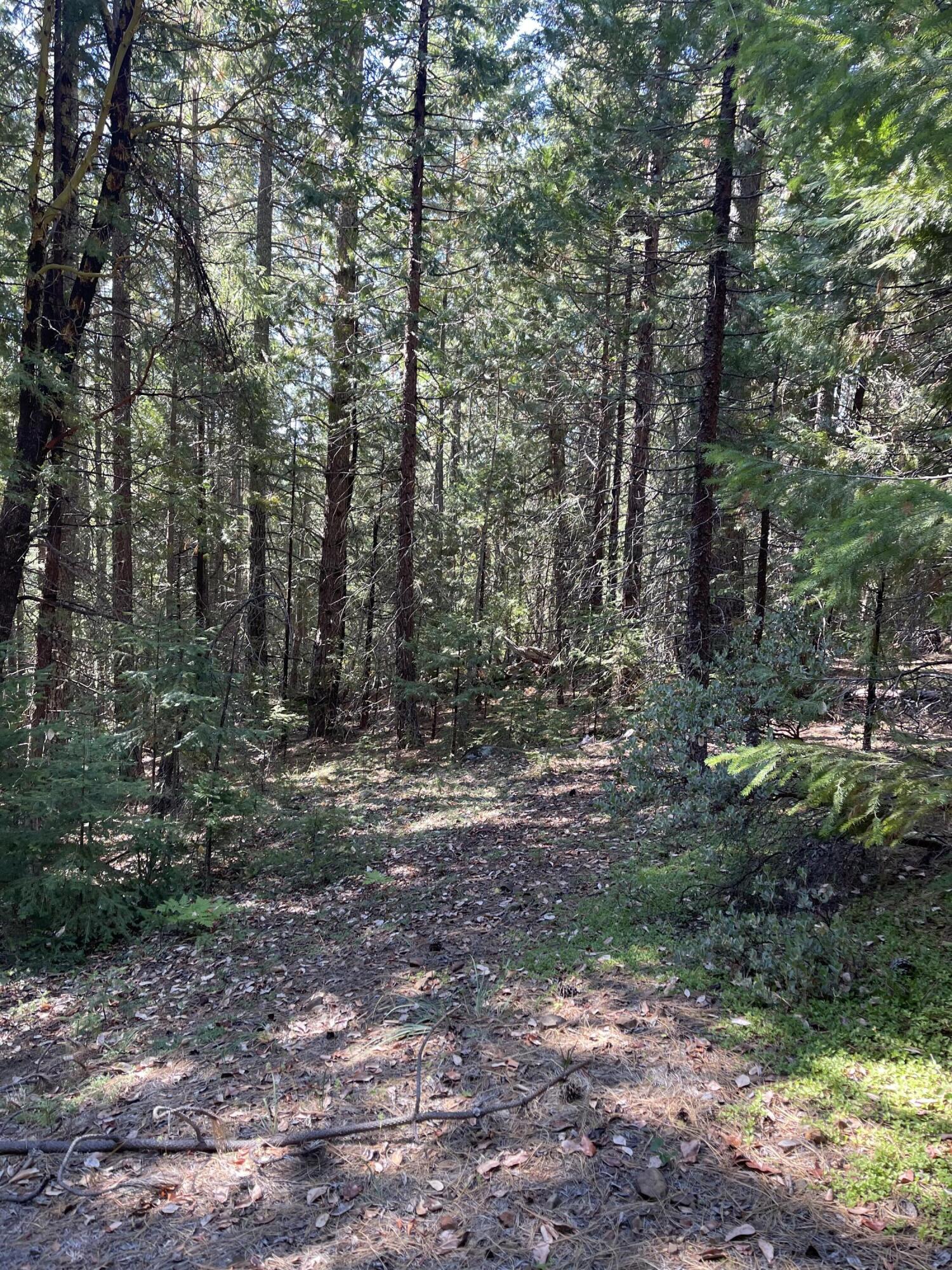 Fall Subdivision - Land