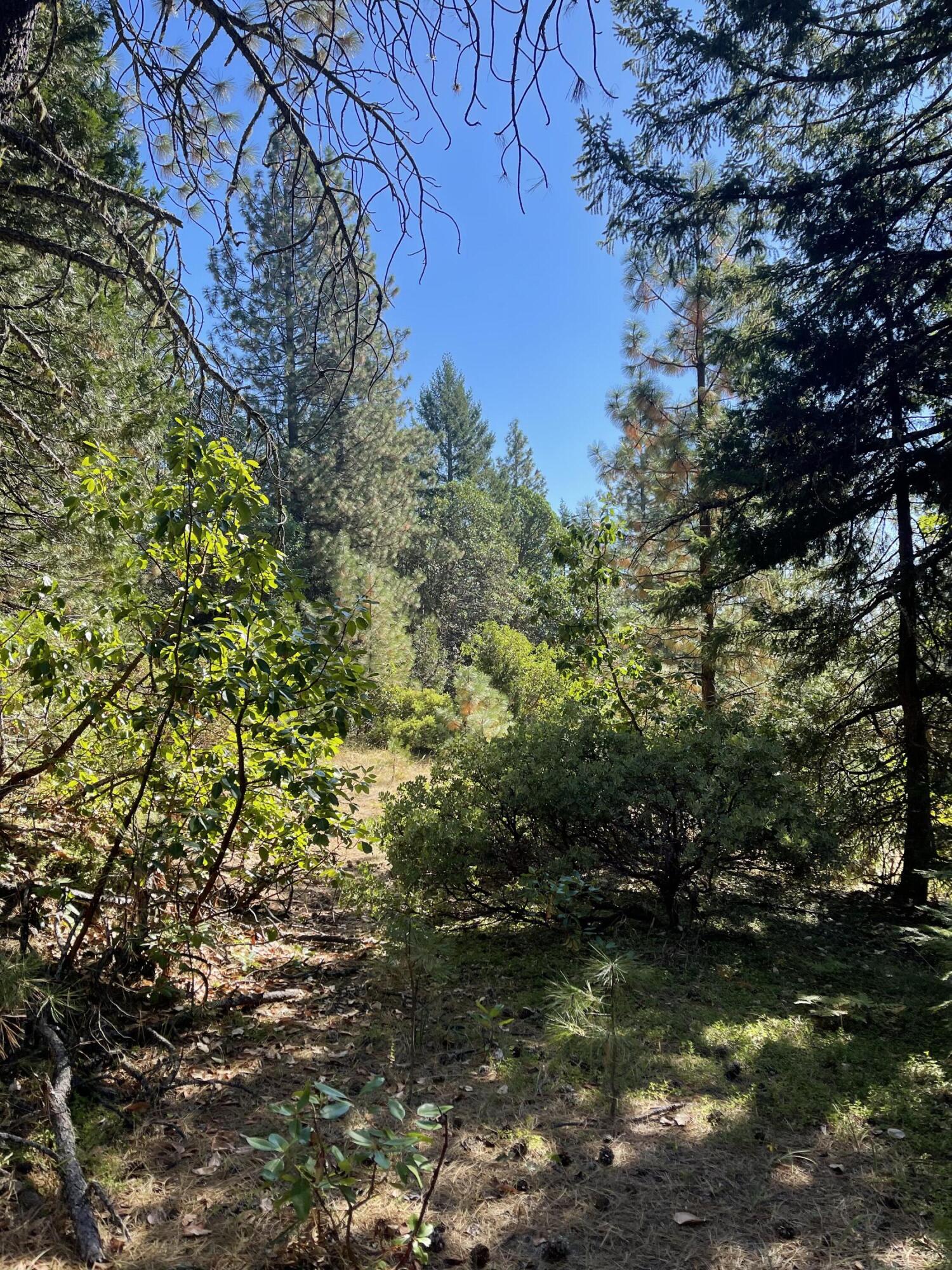 Fall Subdivision - Land