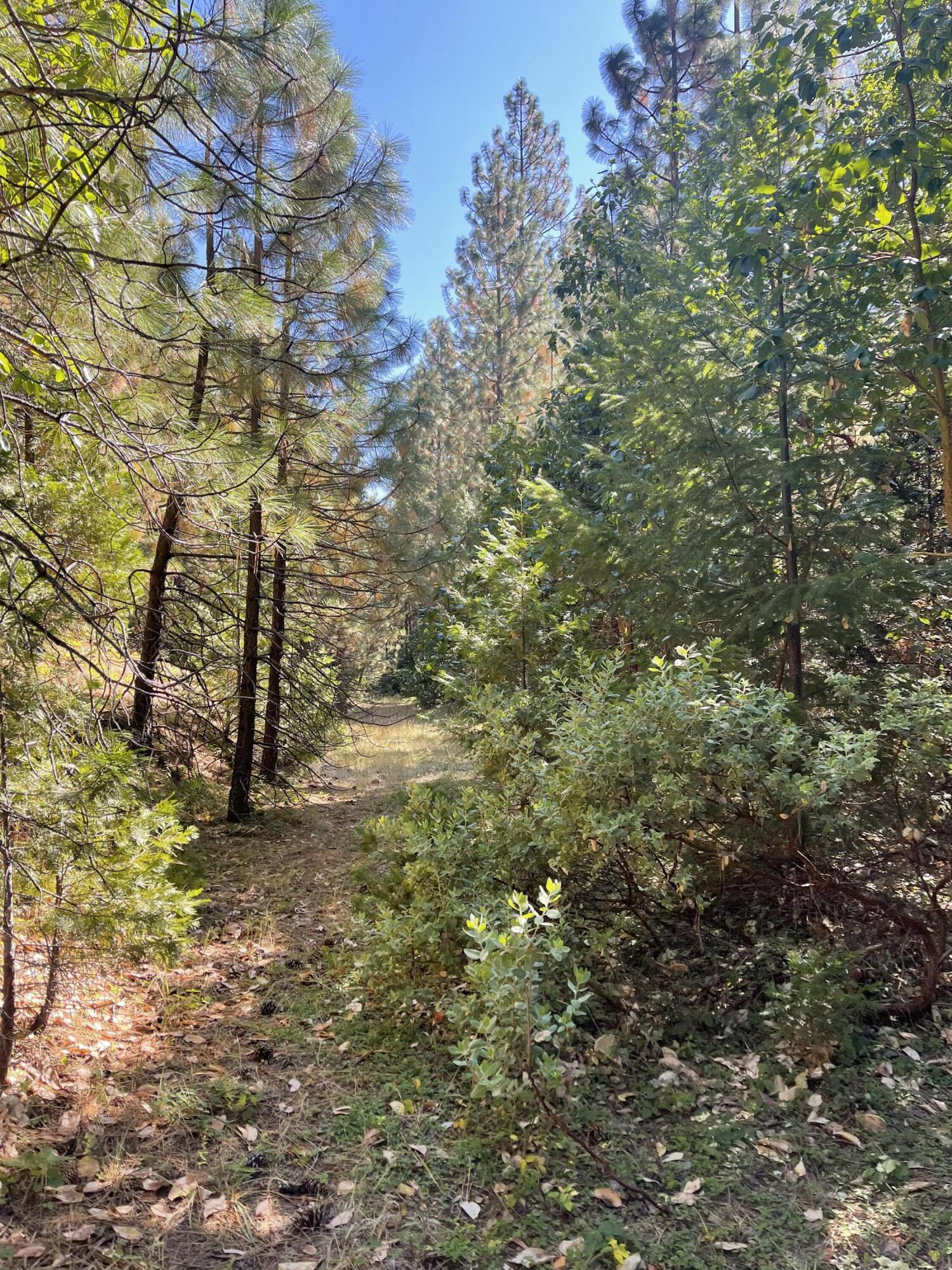 Fall Subdivision - Land