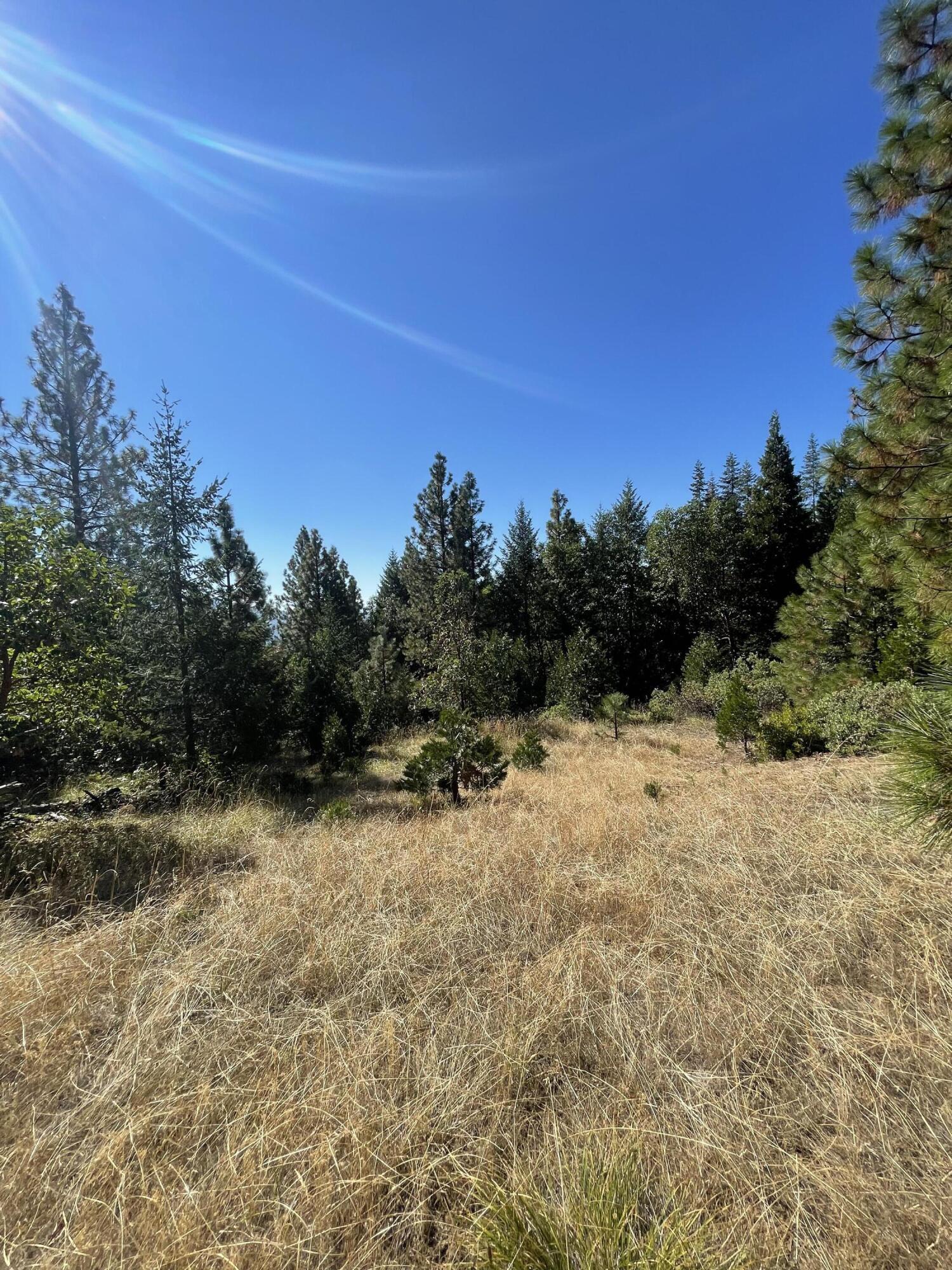 Fall Subdivision - Land
