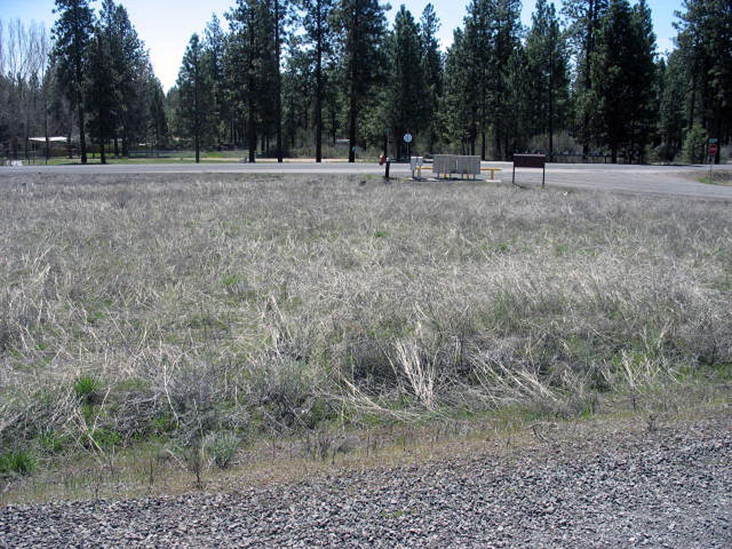 Corner lot located in the stick built or manufactured section of Oregon Shores 2 subdivision. HOA fees of only $200.00 per year includes water, maintained roads and access to Oregon Shores recreational club on the agency lake. Just minutes to the Williamson River,Sprague River and approximately 30 miles to Crater Lake National Park.