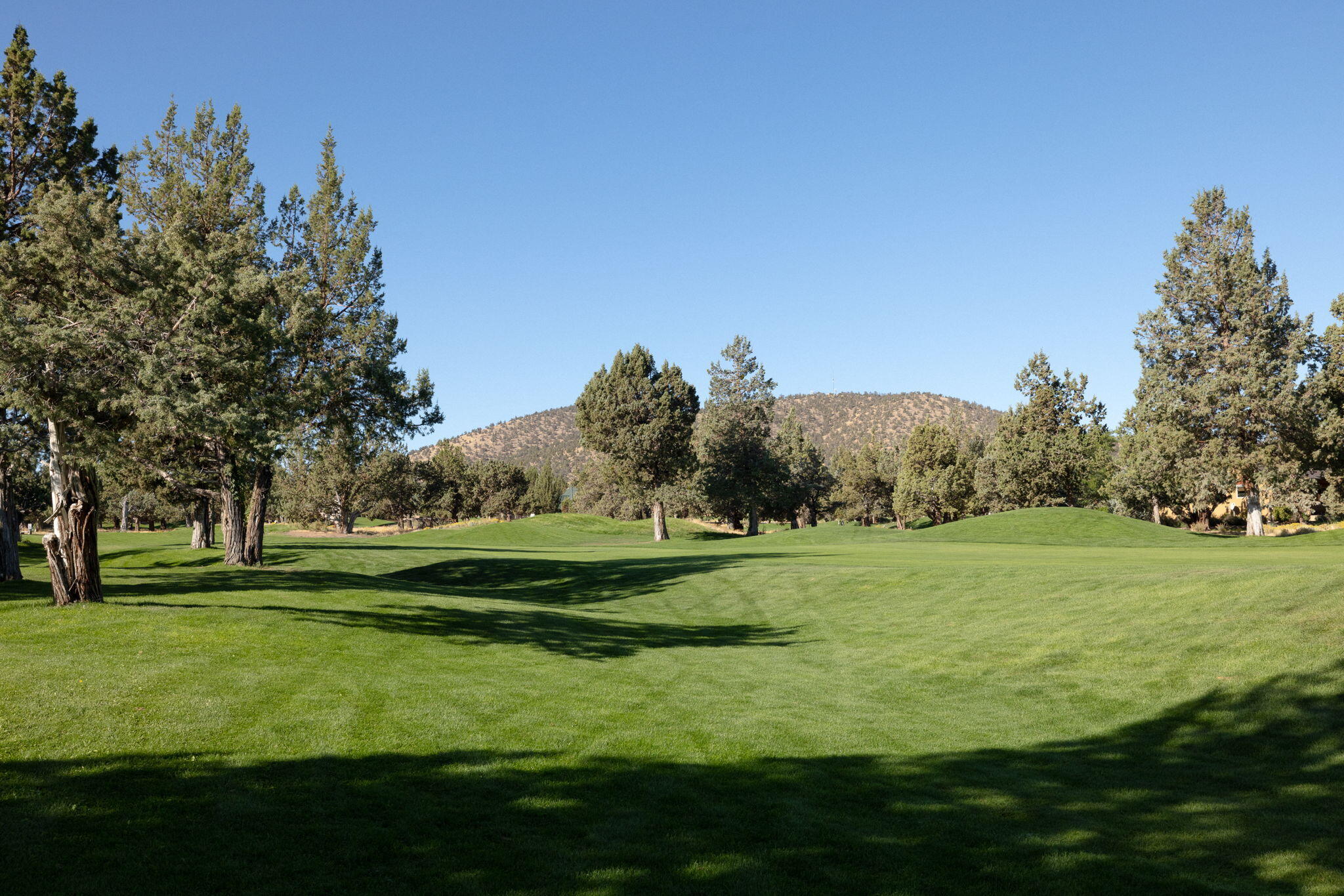 Ridge At Eagle Crest - Residential