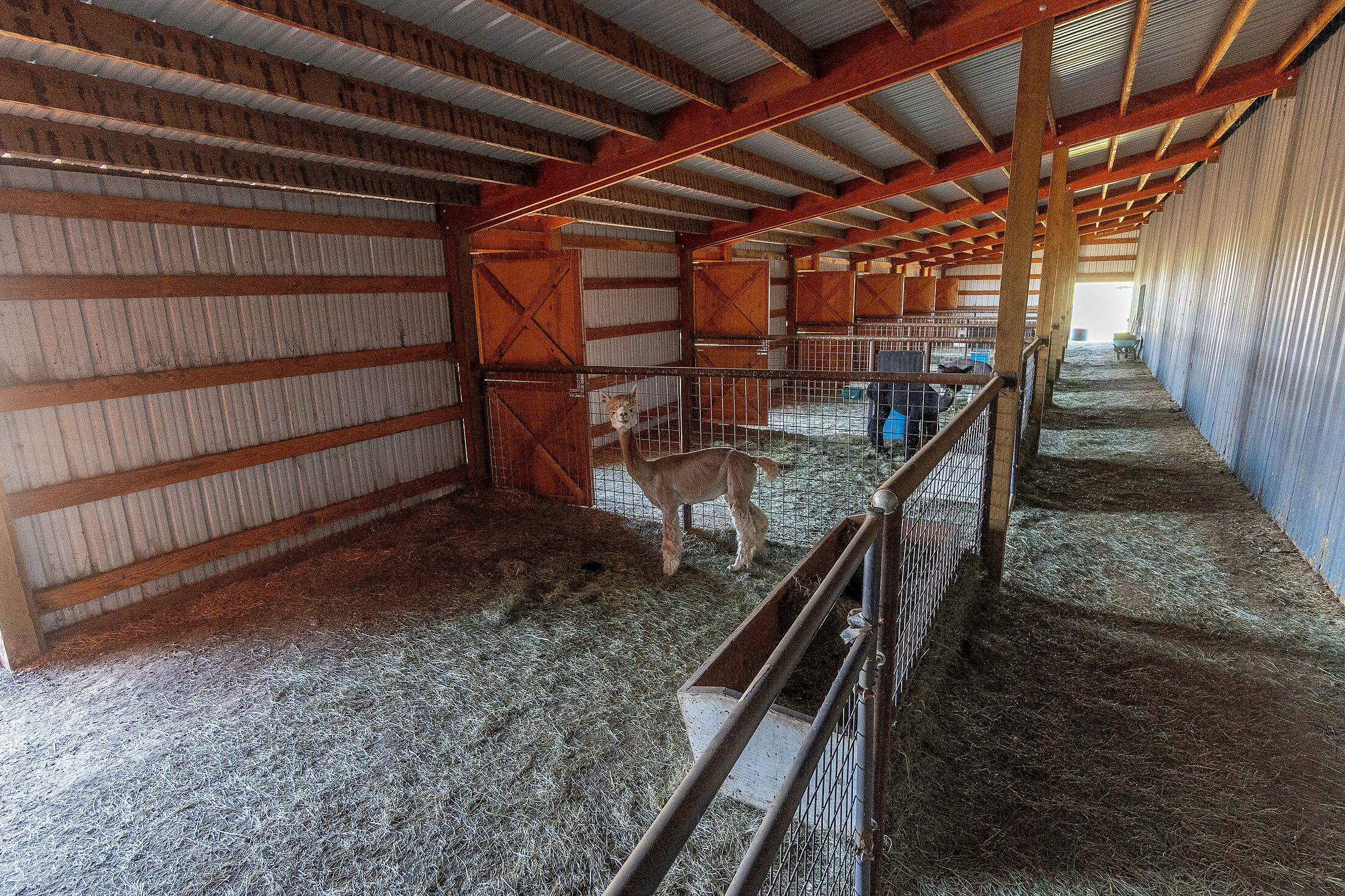 N/A - Farm