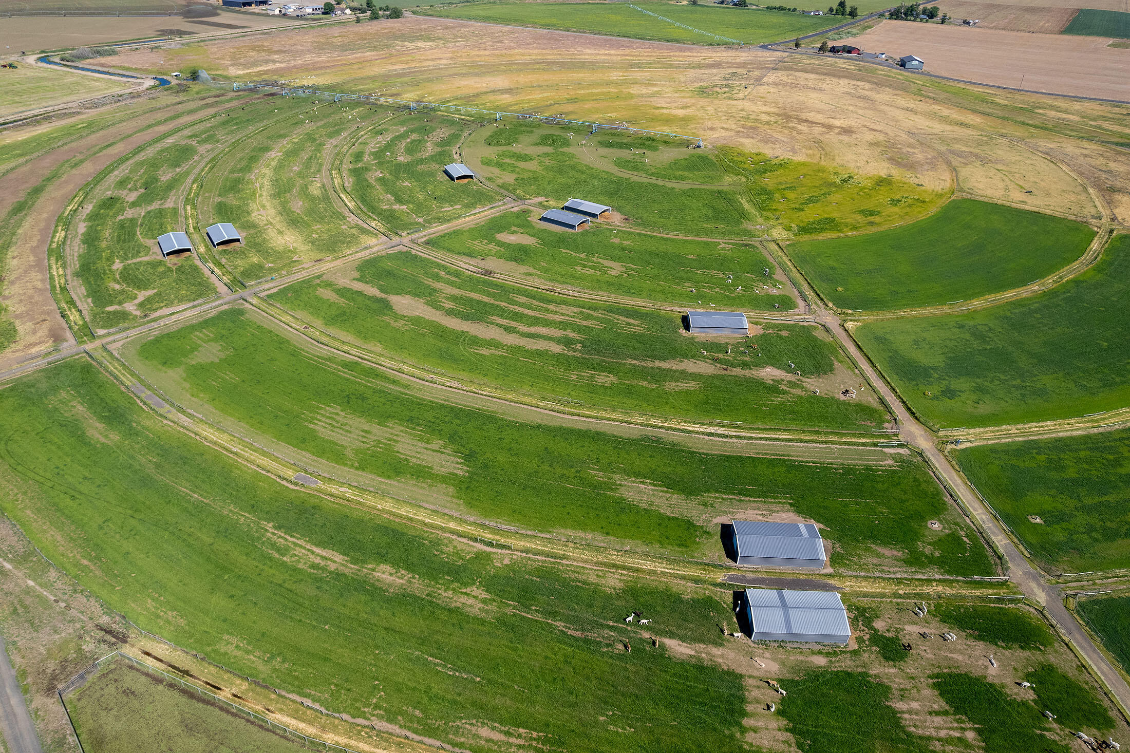 N/A - Farm