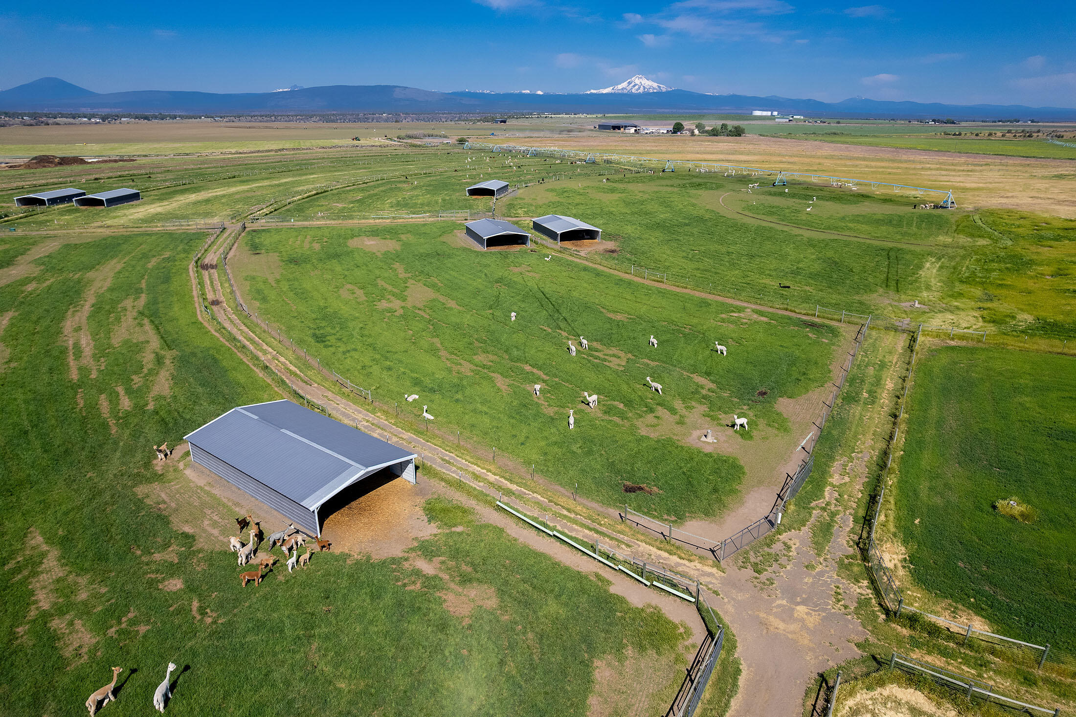 N/A - Farm