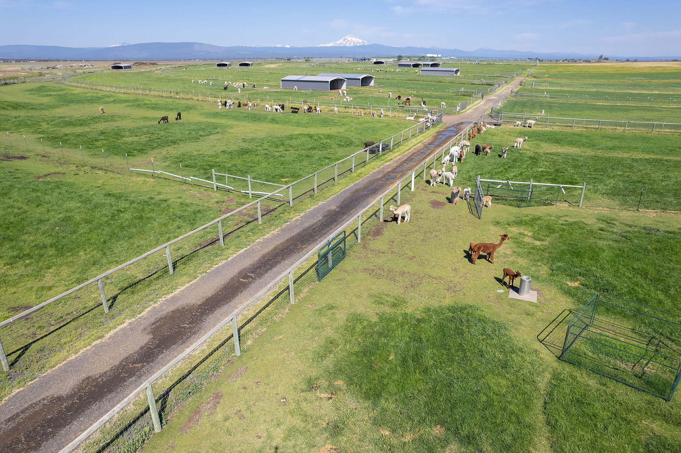 N/A - Farm