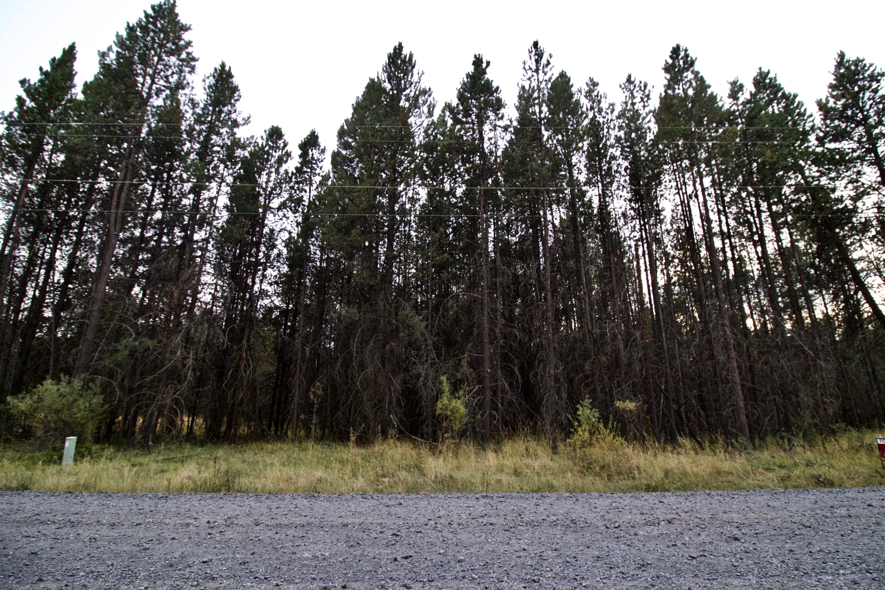 Great opportunity to own a piece of that recreational paradise called Central Oregon! Located in the Deschutes River Rec Homesites subdivision, this treed .44 acre lot is great for RV or recreational use.  DRRH has common area on the Deschutes river for owners . Near US Forest lands, Cascade Lakes, Mt. Bachelor, La Pine State Park and all things outdoors! Ski, float, hunt, snowmobile, hike, camp and enjoy!