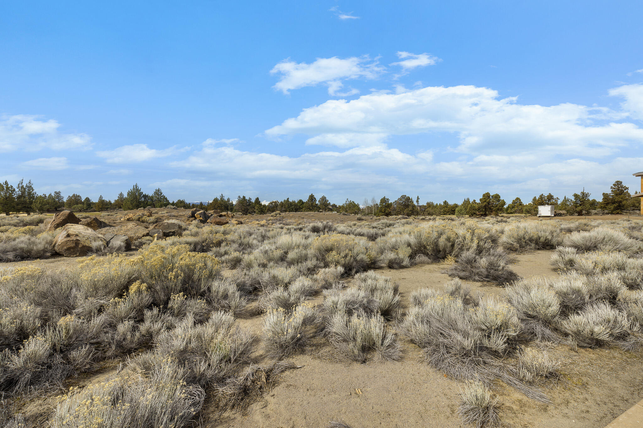 Pronghorn - Land