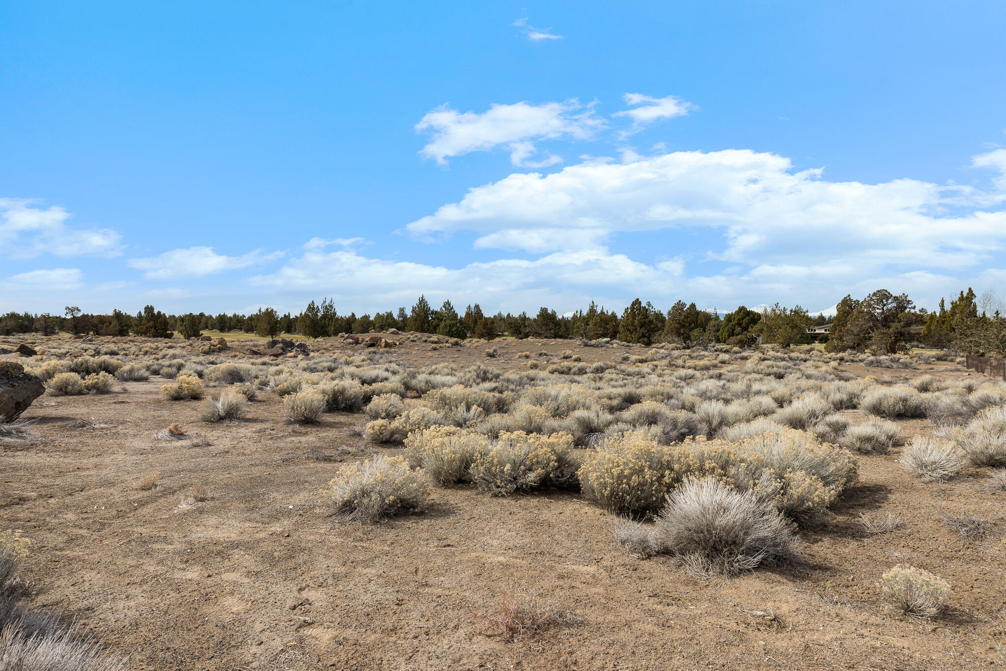 Pronghorn - Land