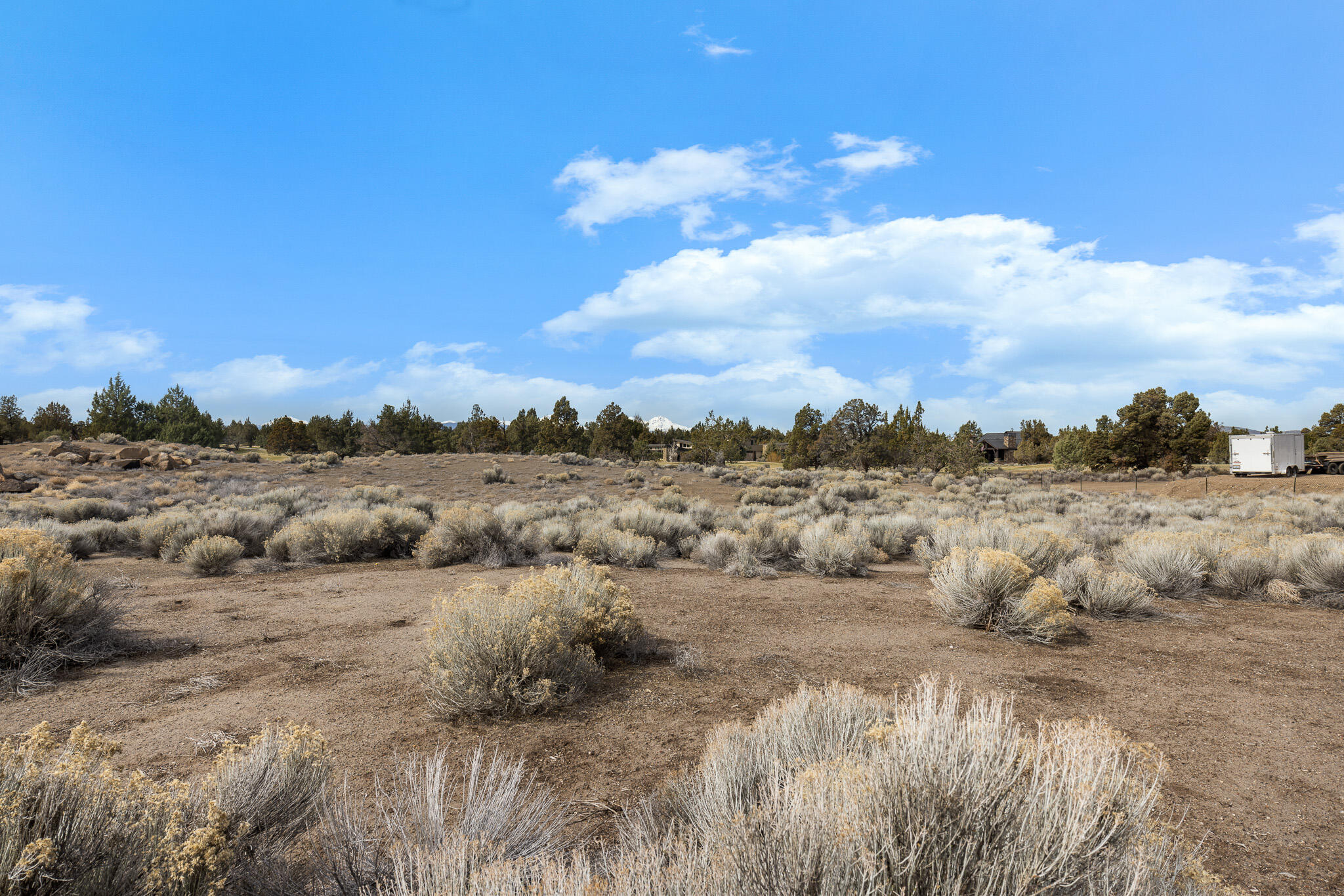 Pronghorn - Land