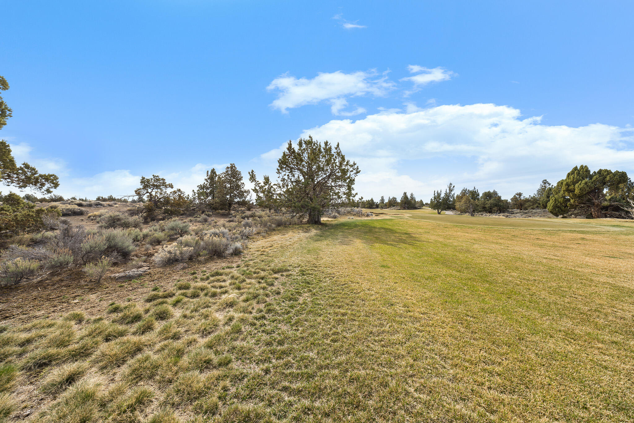 Pronghorn - Land
