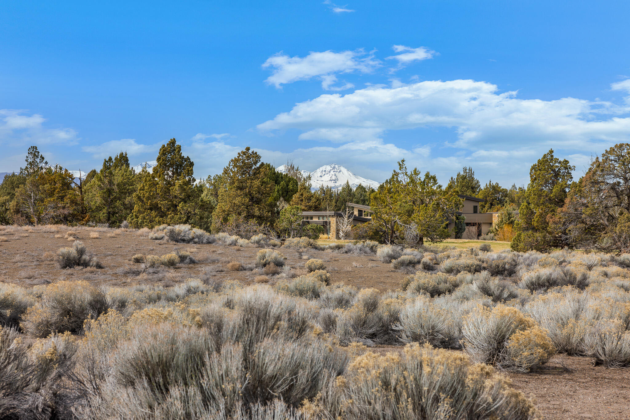 Pronghorn - Land
