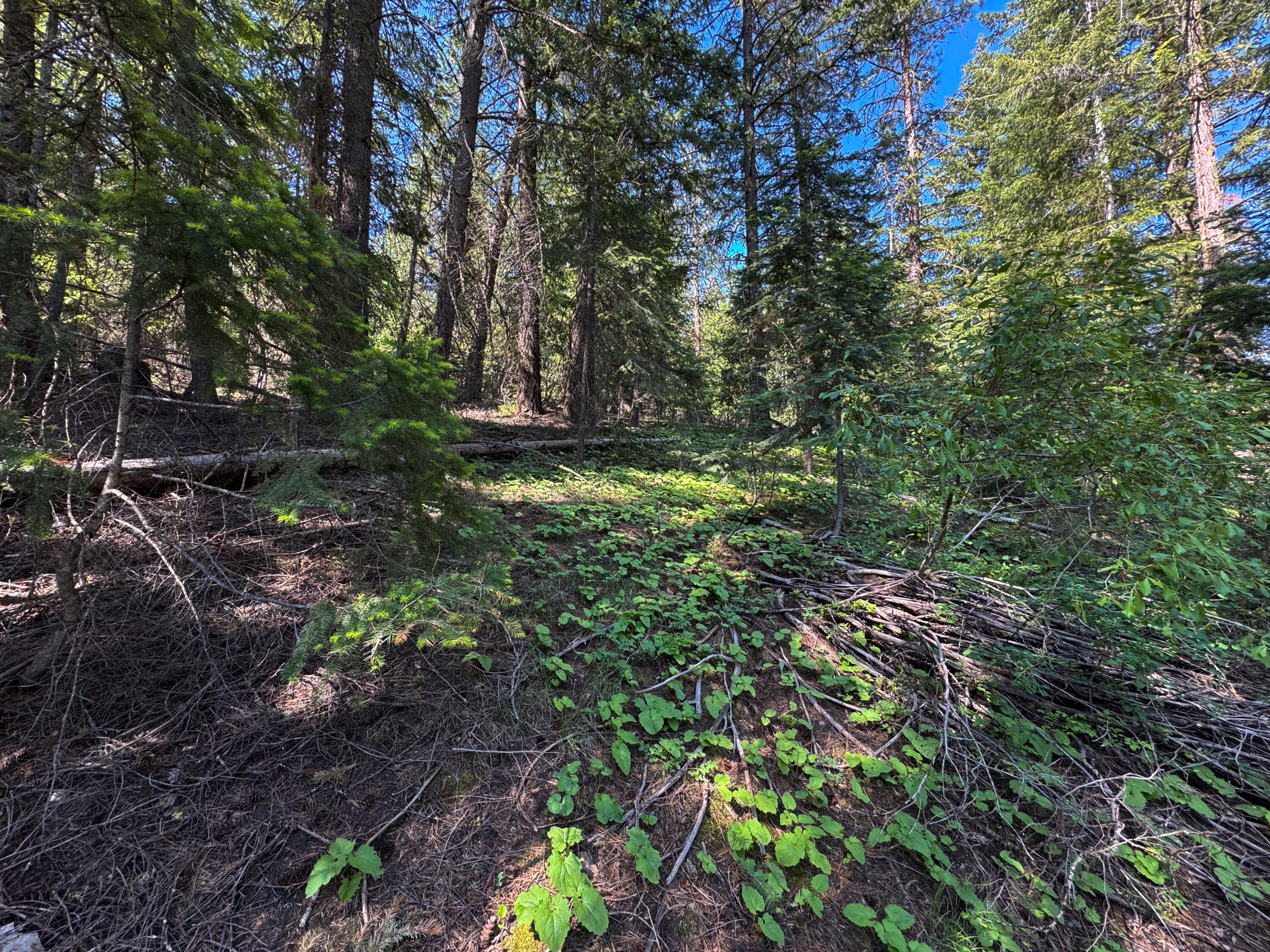 Klamath Falls Forest Estates -Hwy 66 Unit -Plat No. 1 - Land