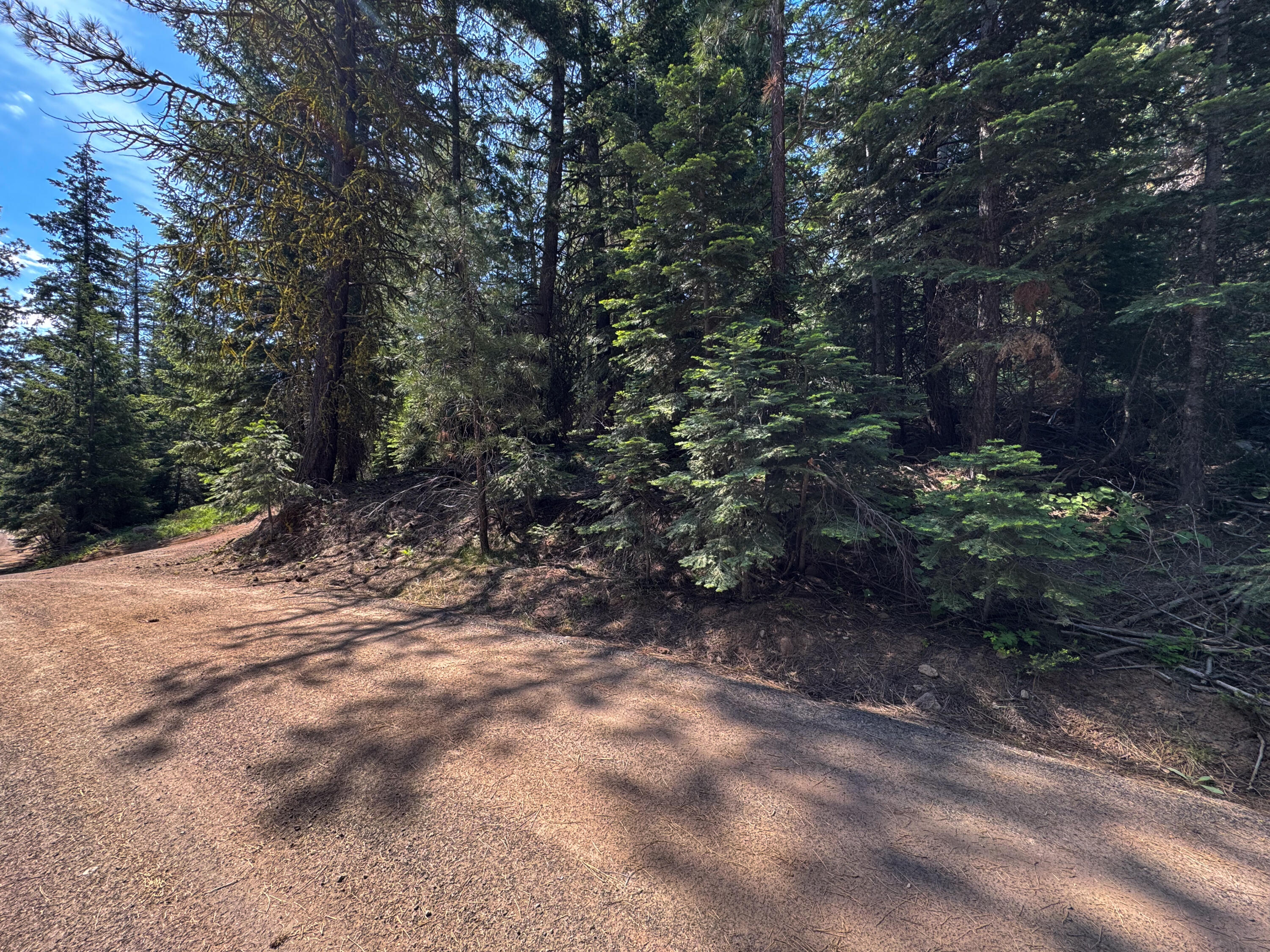 Klamath Falls Forest Estates -Hwy 66 Unit -Plat No. 1 - Land
