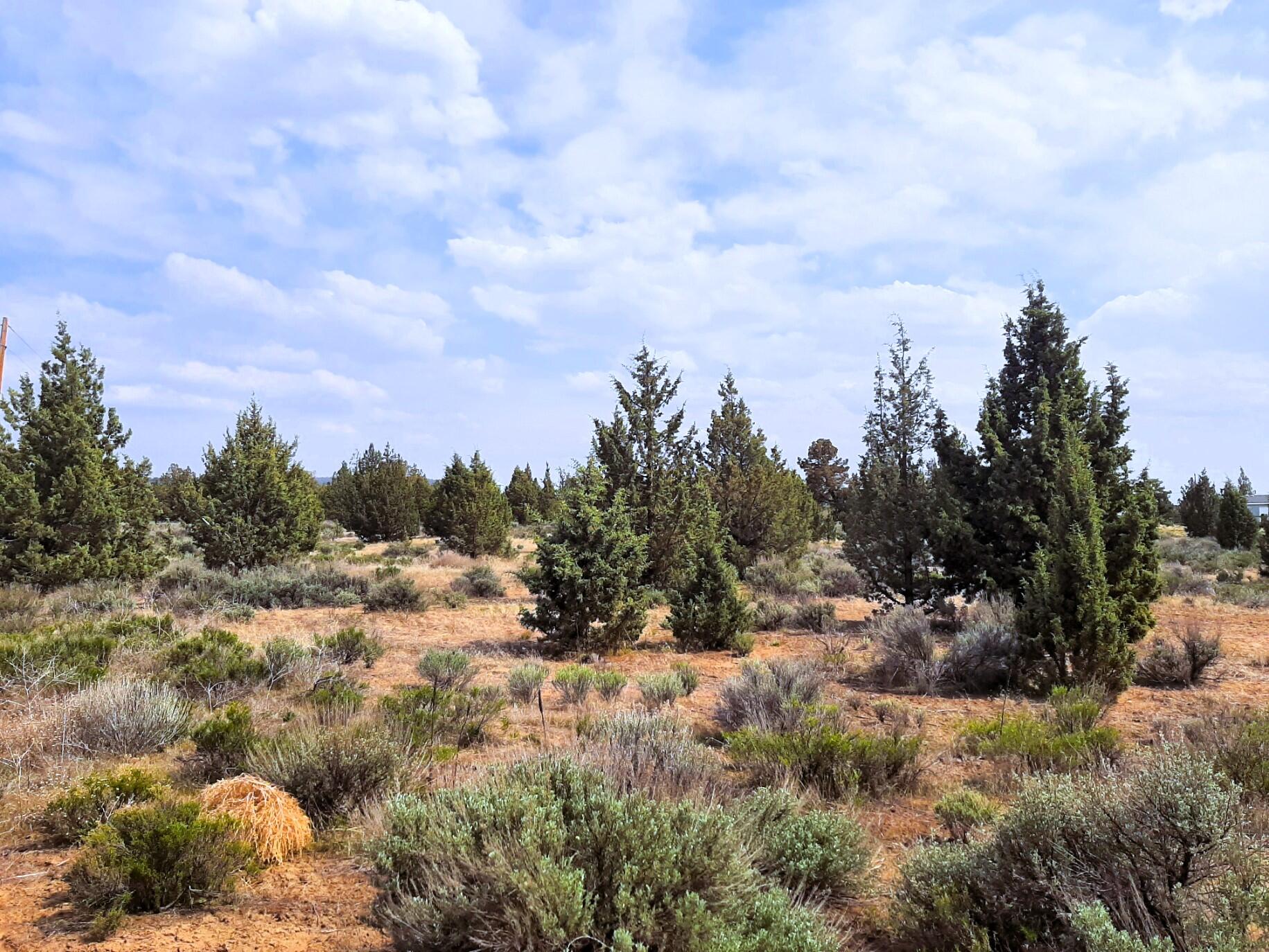 Prineville Lake Acres 2 - Land