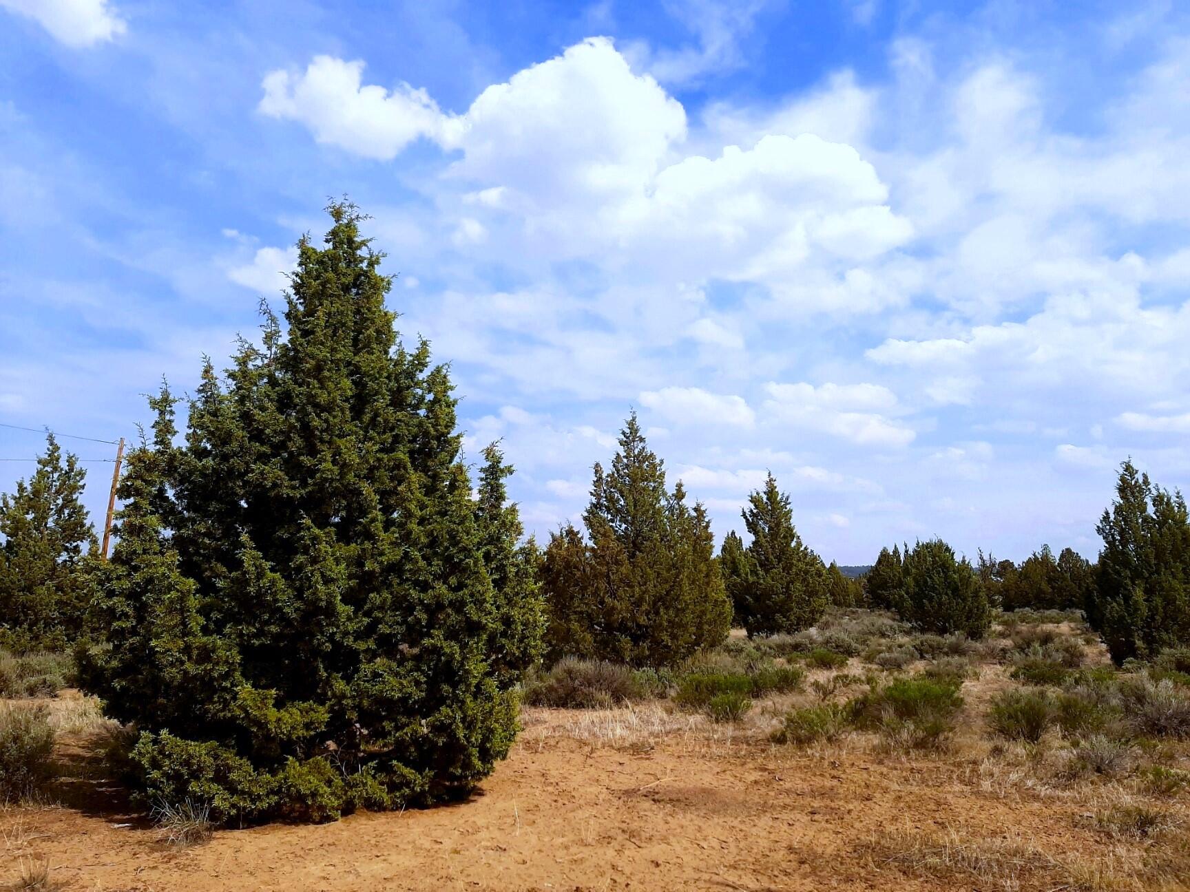 Prineville Lake Acres 2 - Land
