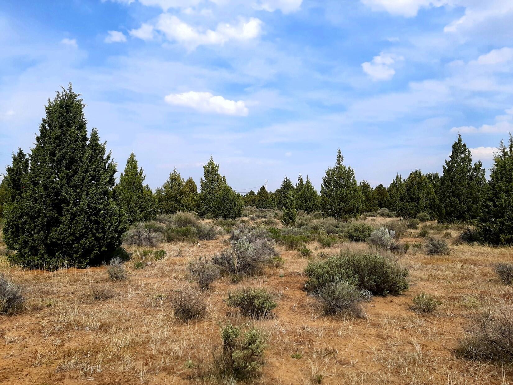 Prineville Lake Acres 2 - Land