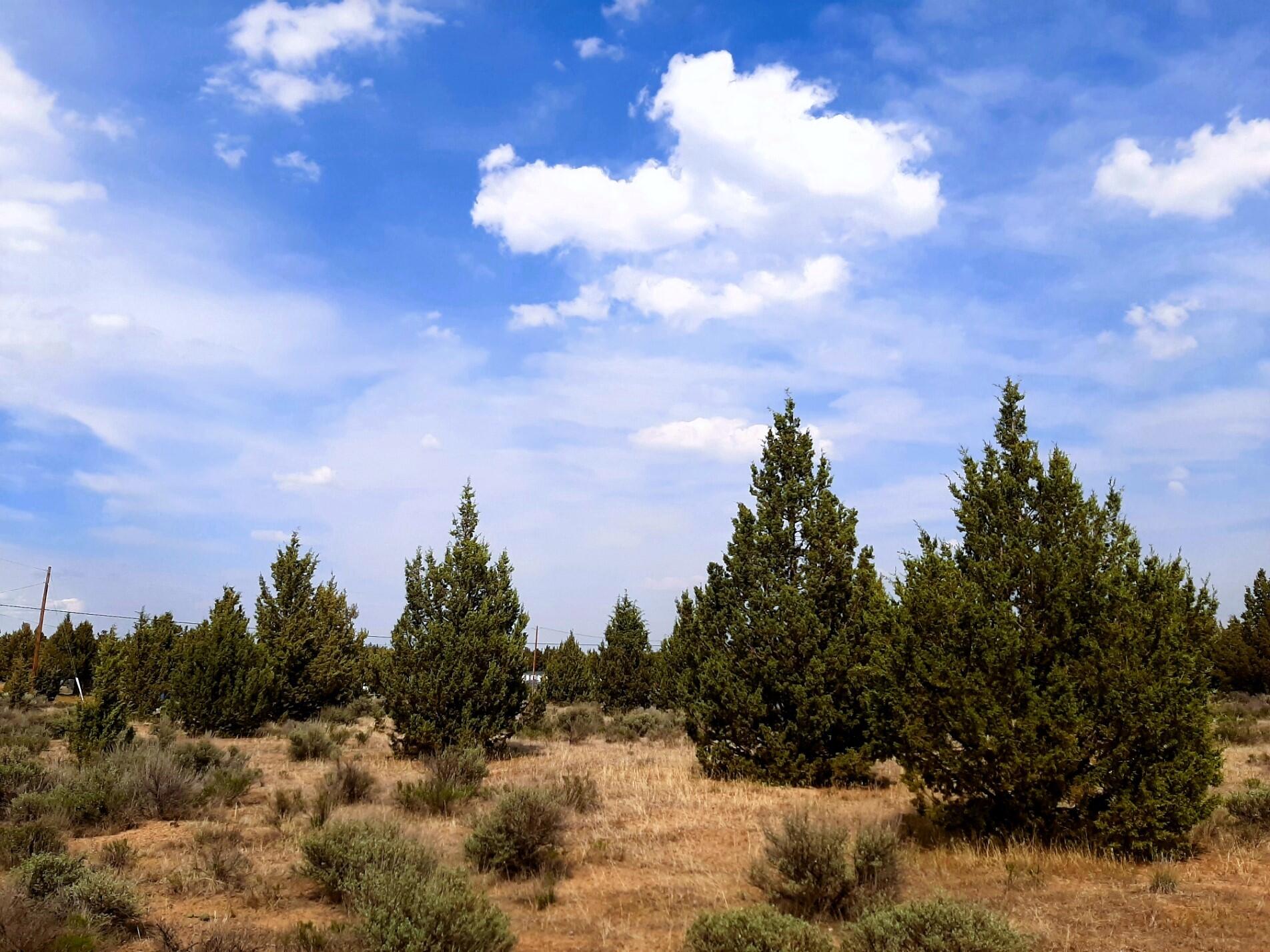 Prineville Lake Acres 2 - Land