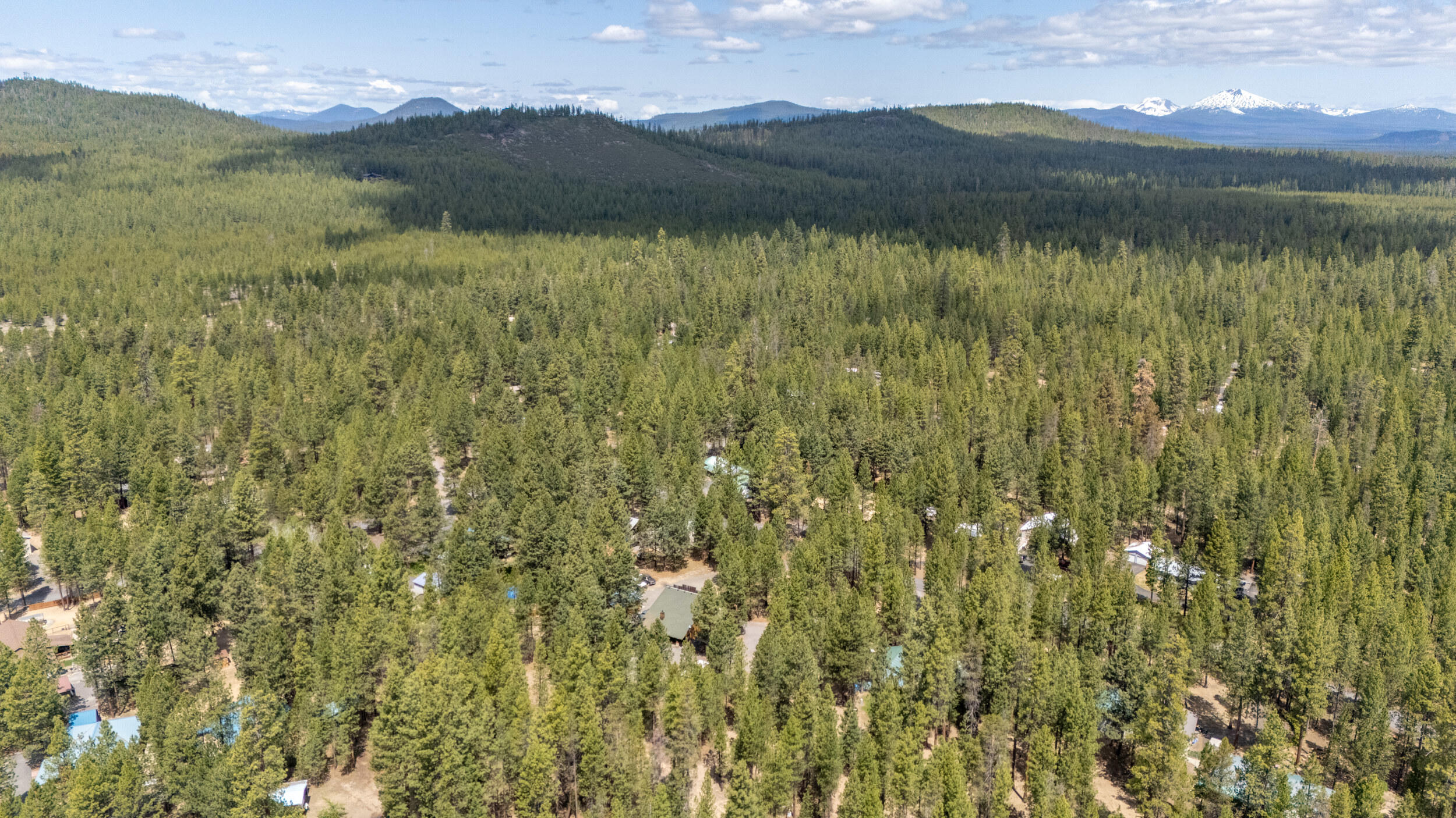 Ponderous Pines - Residential