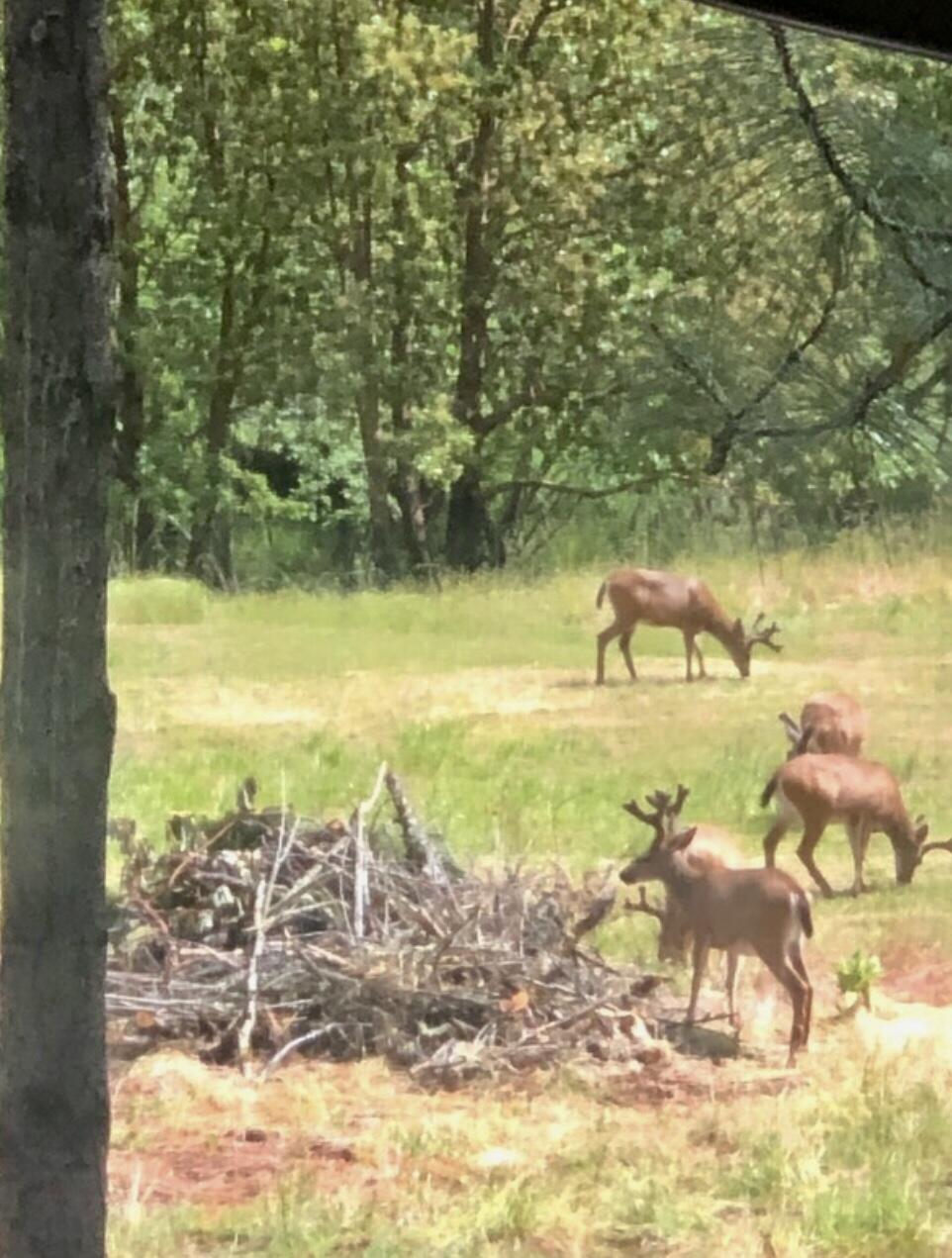 N/A - Land