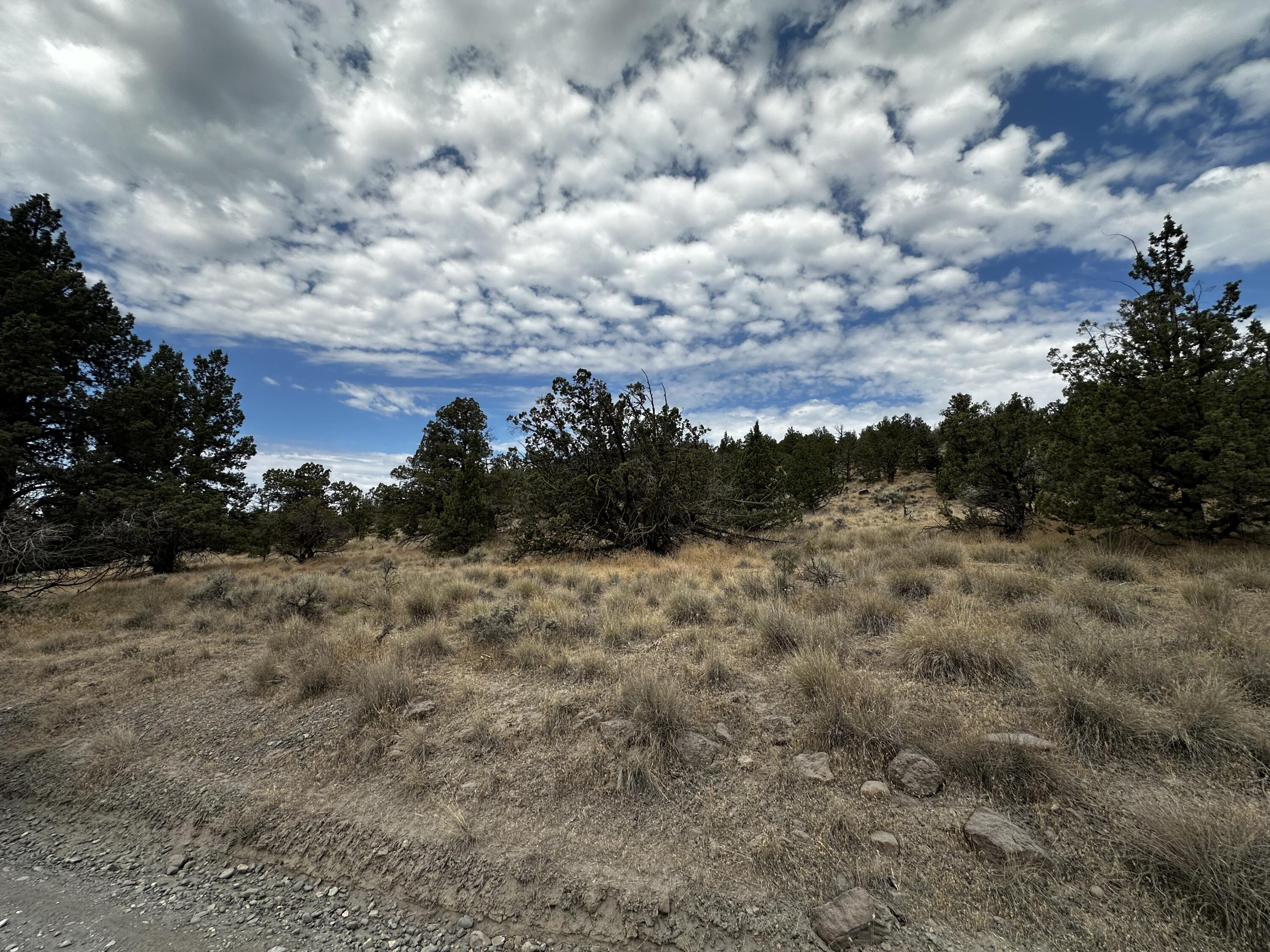 Discover the perfect blend of space, scenery, and convenience with this stunning 4-acre horse property, just minutes from downtown Prineville! Nestled in a peaceful setting, this parcel offers breathtaking panoramic views and plenty of room to create your dream estate. Whether you're looking to build a custom home, establish a small
equestrian setup, or simply enjoy the open space, this property has endless potential. Power is nearby, and a traditional septic system is already approved within the subdivision, making the building process even smoother. Don't miss this rare opportunity to own a piece of Prineville's natural beauty—come see it for yourself and start
planning your future today!