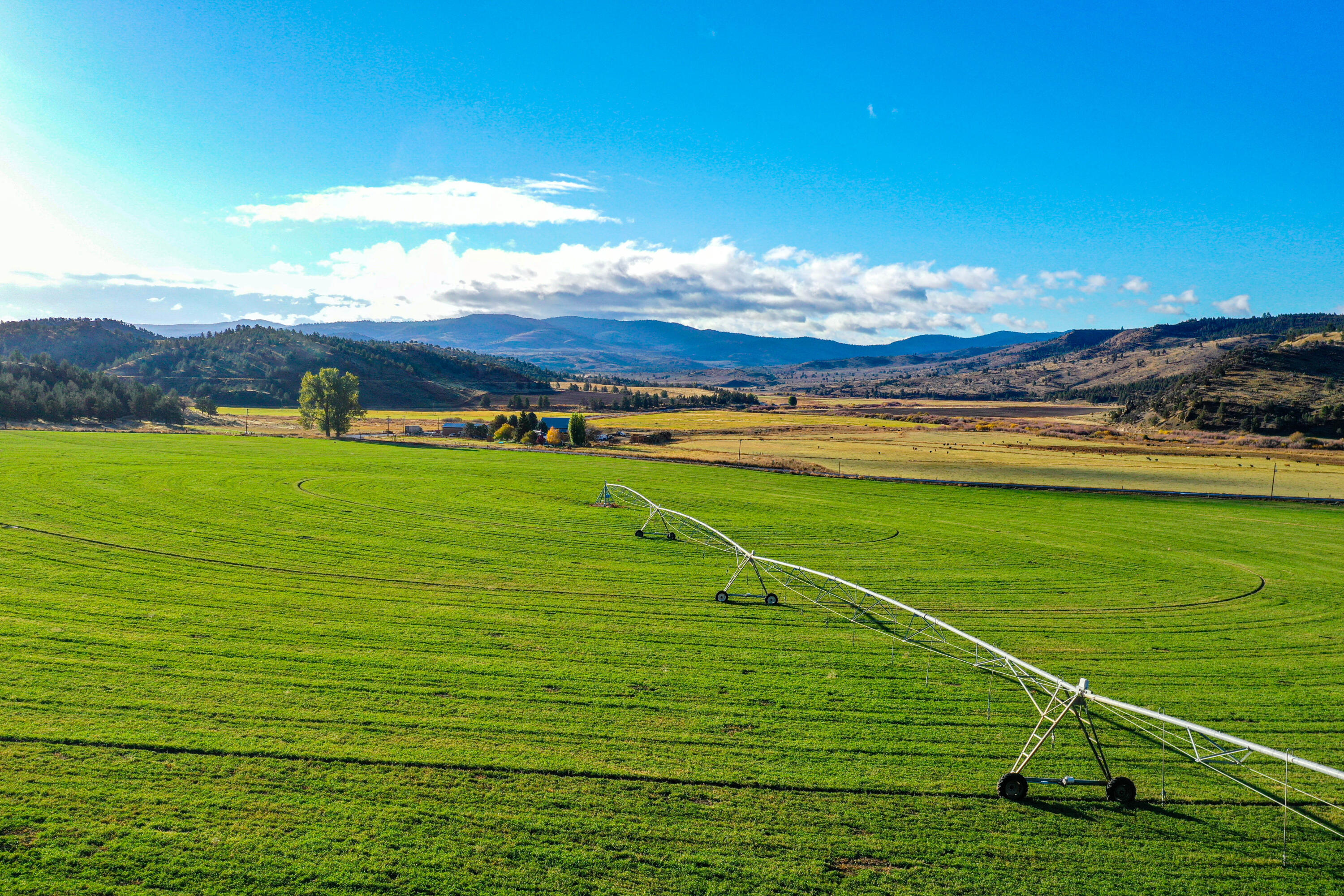 N/A - Farm