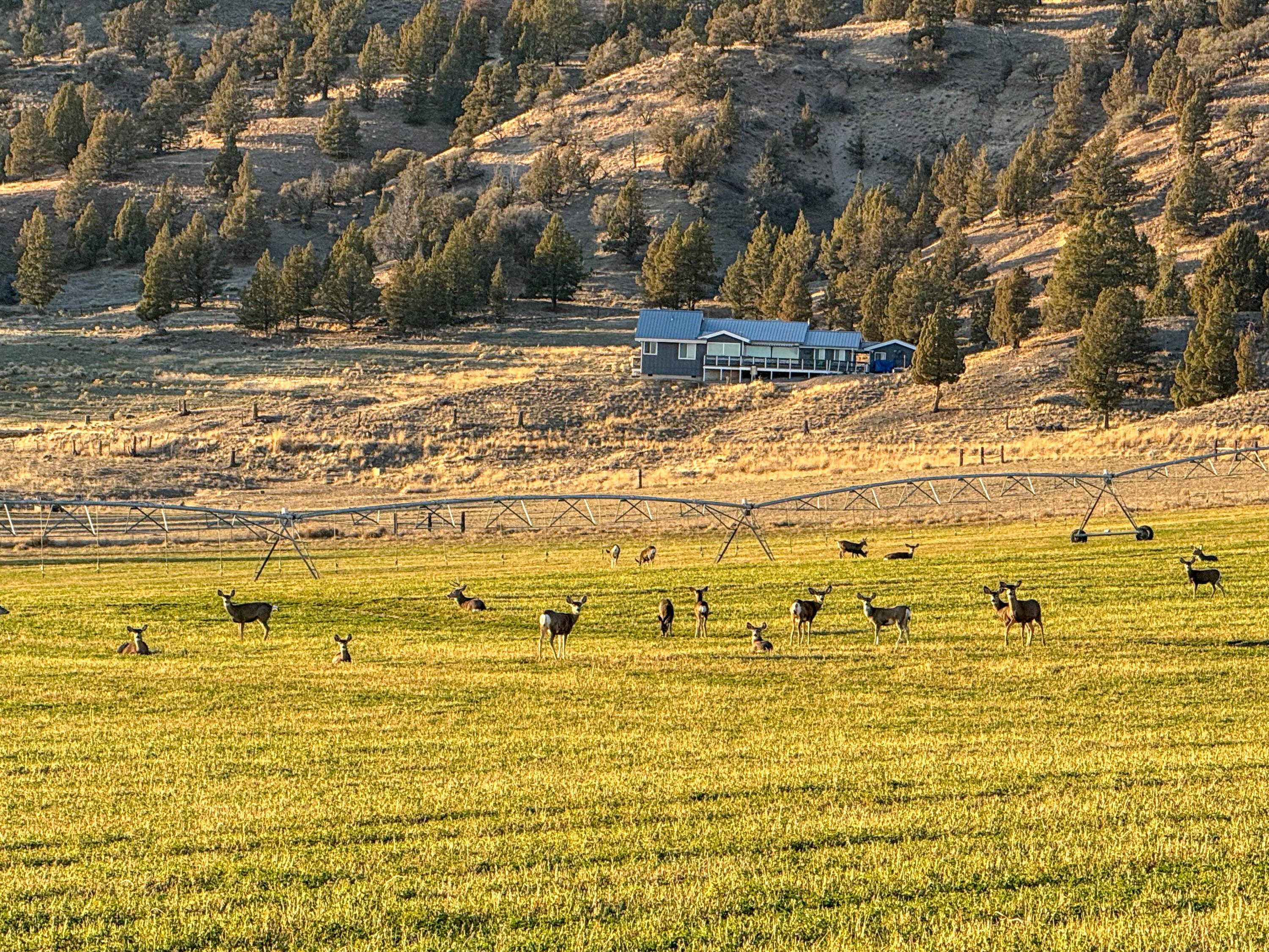 N/A - Farm