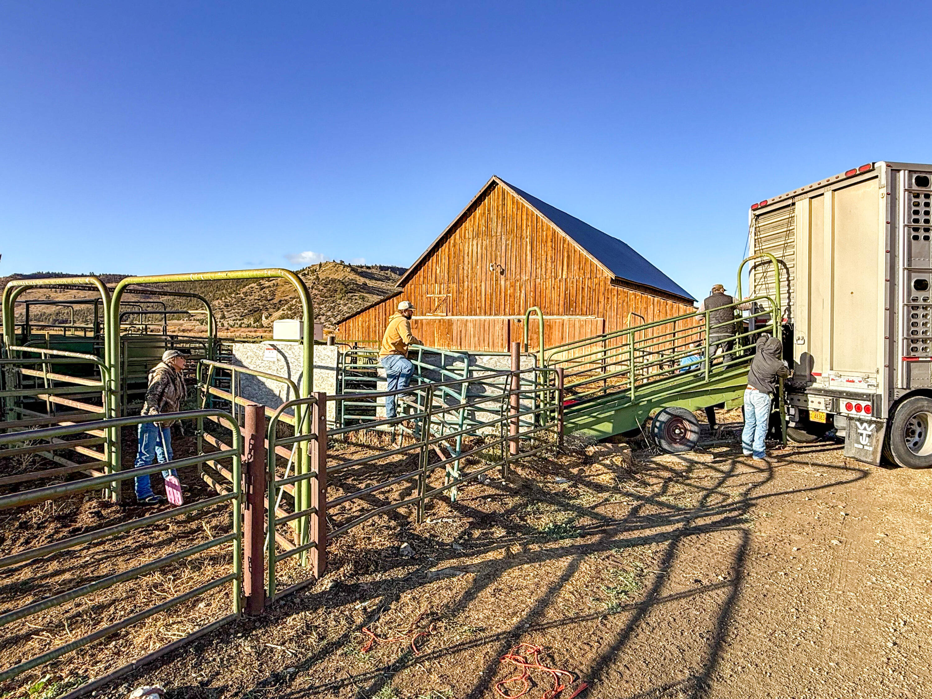 N/A - Farm