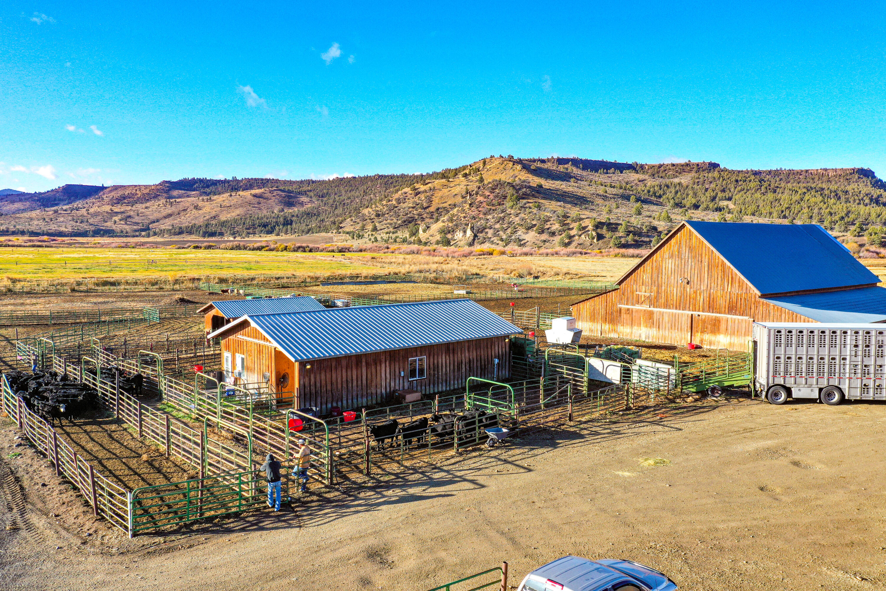 N/A - Farm