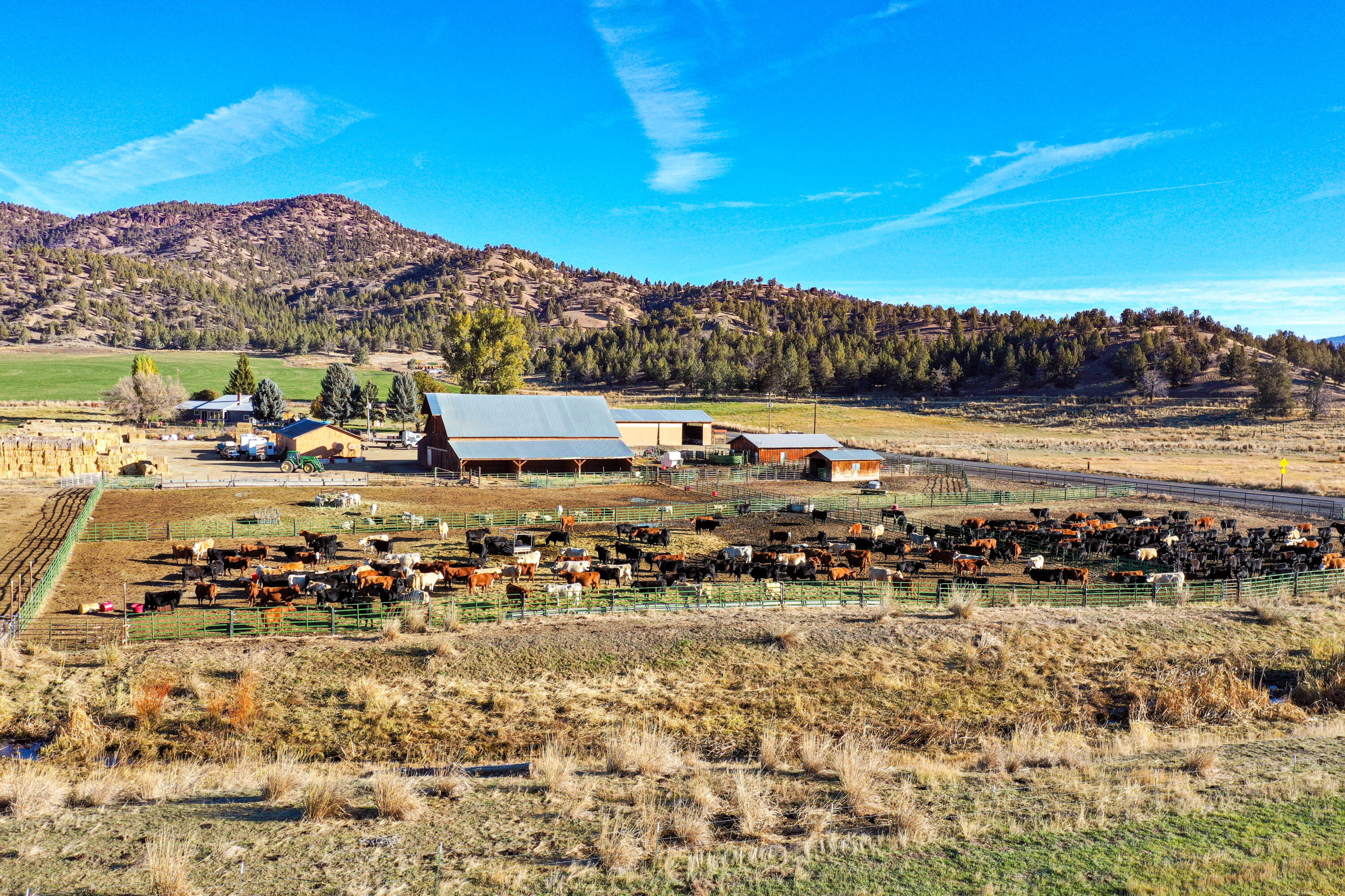 N/A - Farm