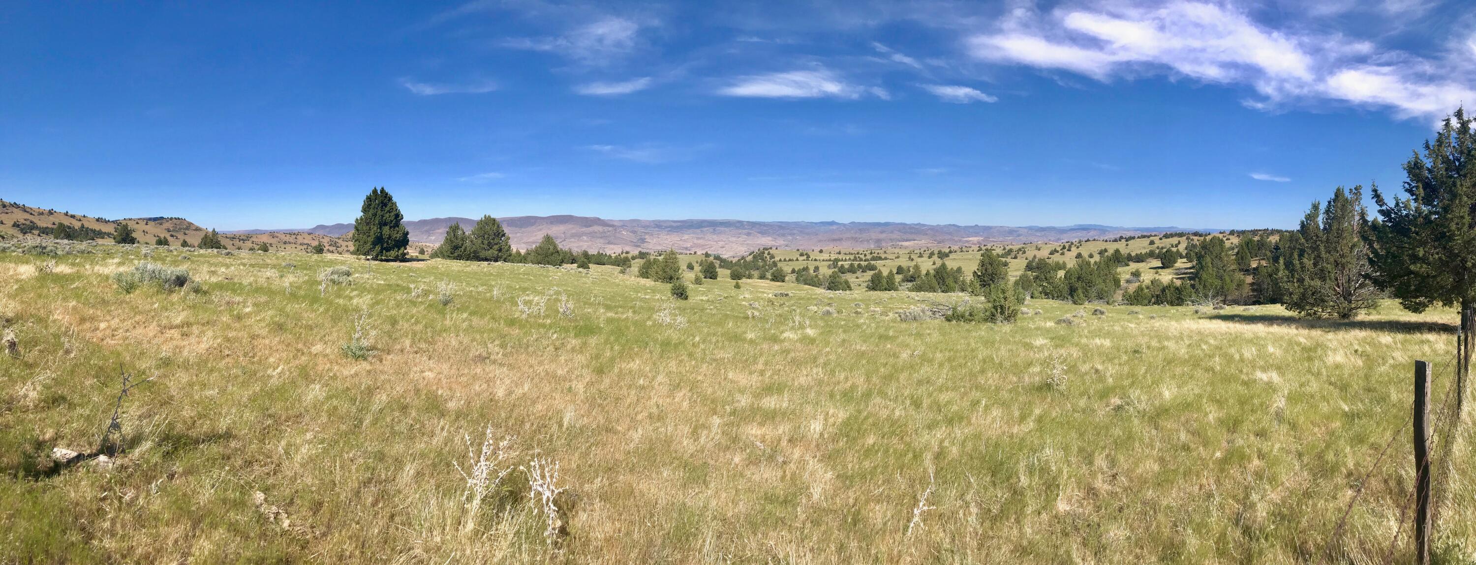 N/A - Farm