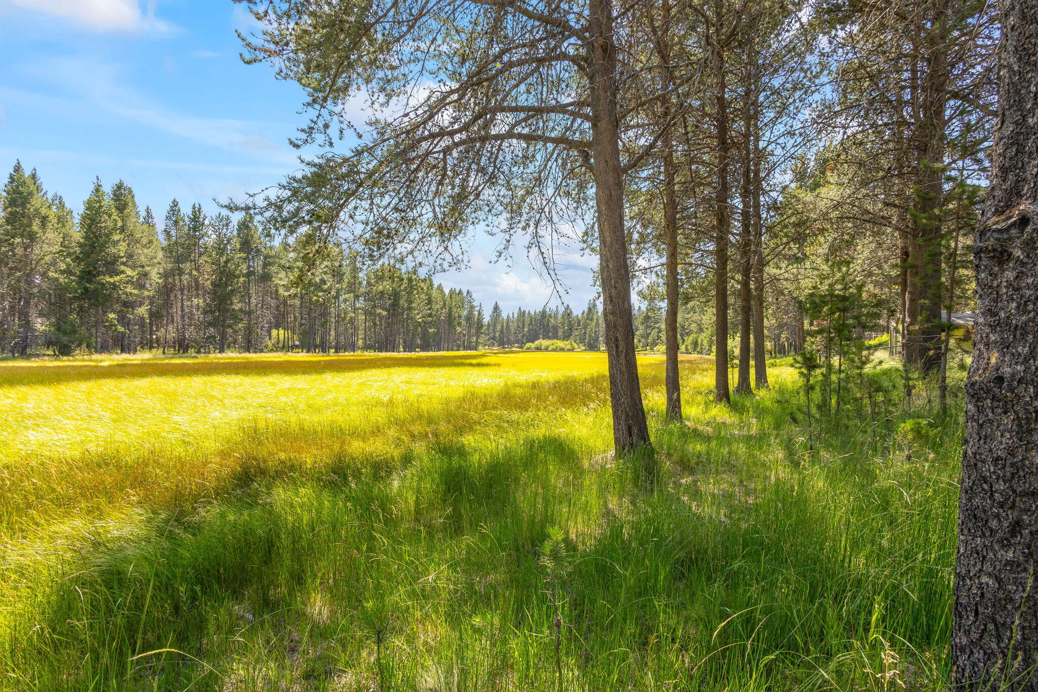 Deschutes River Recreation Homesites - Residential