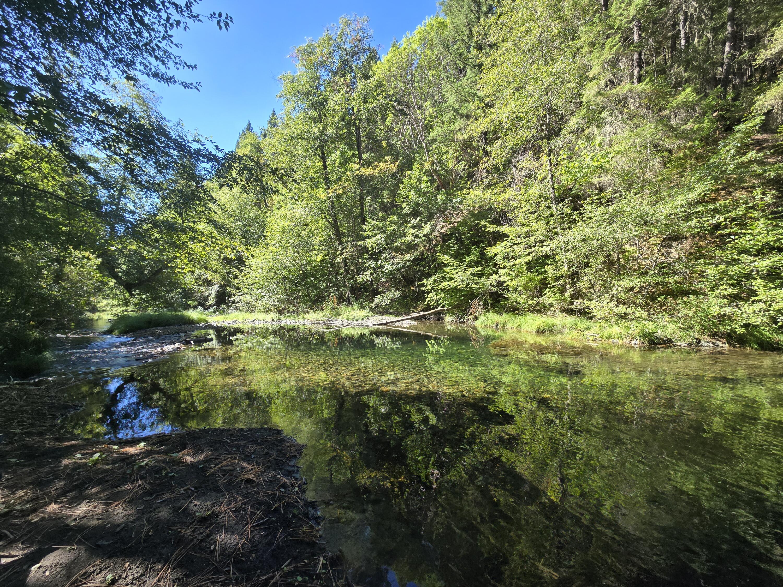 Nestled in the serene mountains of the Applegate Valley, this stunning 5-acre property offers a peaceful retreat surrounded by nature's beauty. A harmonious blend of open pasture and forested charm, the land features direct frontage on the picturesque Carberry Creek.
Enjoy your own private swimming hole—an ideal spot for relaxing, unwinding, or simply soaking in the solitude. With easy creek access and a tranquil setting, the property offers the perfect canvas for a custom homestead or unique campground. Whether you're dreaming of a rustic cabin, glamping retreat, or an off-grid escape, the possibilities for outdoor living are endless.
An adventurer's dream, this location is surrounded by miles of backroads and forestland to explore—perfect for hiking, biking, ATV riding, or just immersing yourself in mountain life. Whether you're seeking a peaceful escape or a launchpad for outdoor recreation, this creekfront gem is ready to become your personal sanctuary.