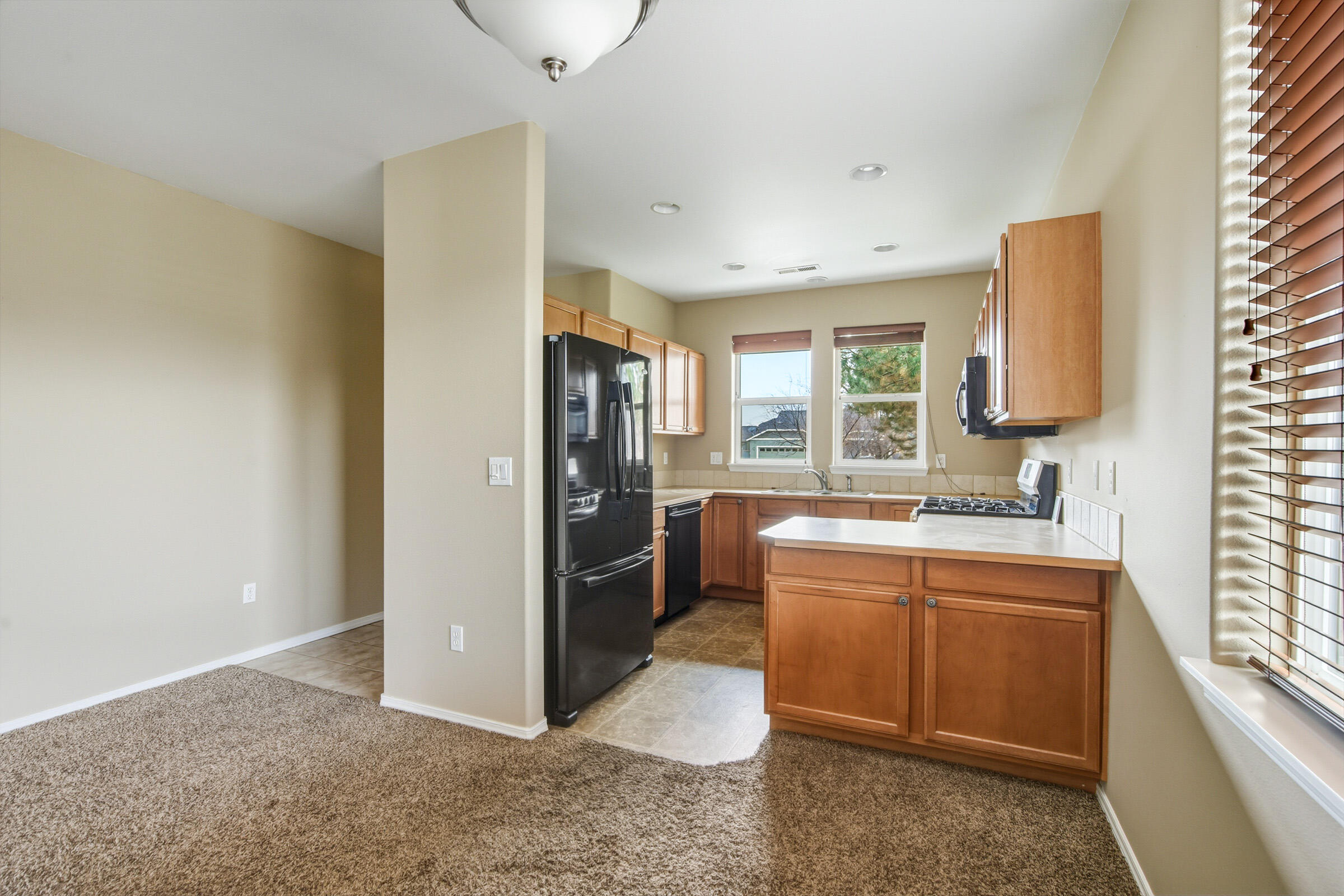 Obsidian Meadows - Residential