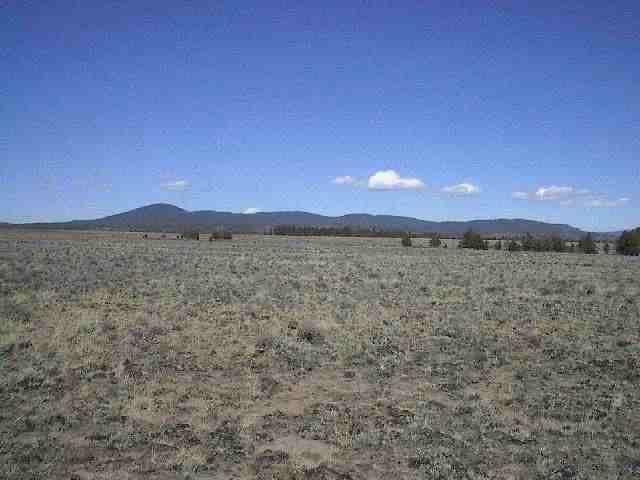 Table Land With Seasonal Creek. Level Rocky Ground. Wooded Along Creek Area. Some Timber. Dirt Road Nearby But No Legal Access. Fenced Along West Boundary.